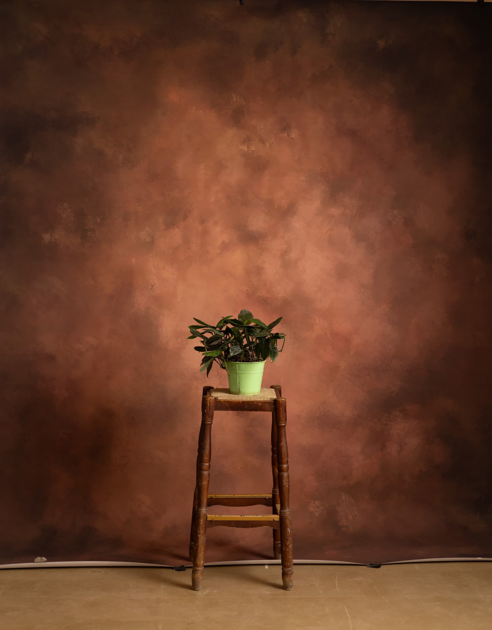 Lotus Printed Paper Backdrop (RN#547)