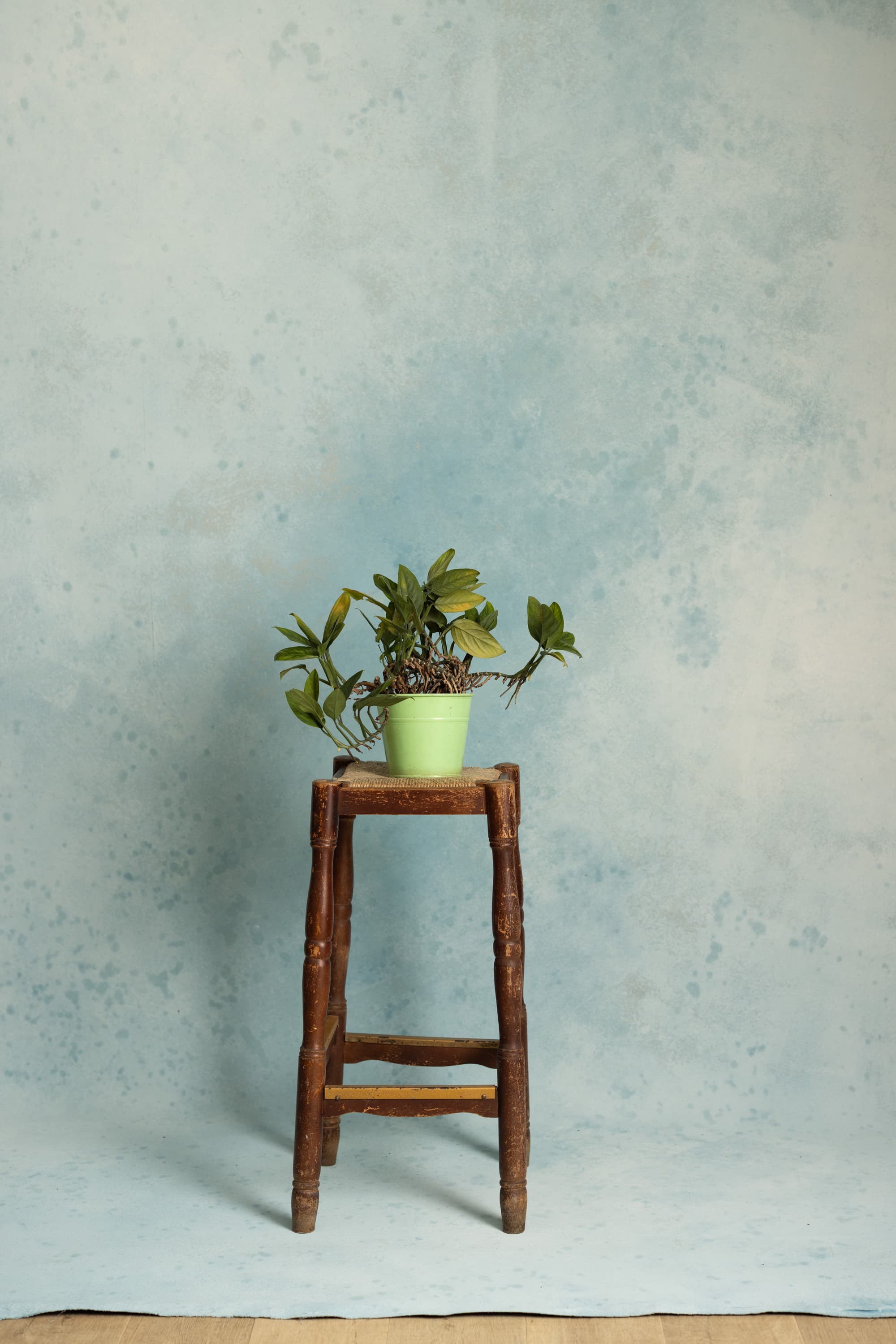 Sable Blue Painted Canvas Backdrop (RN#550)