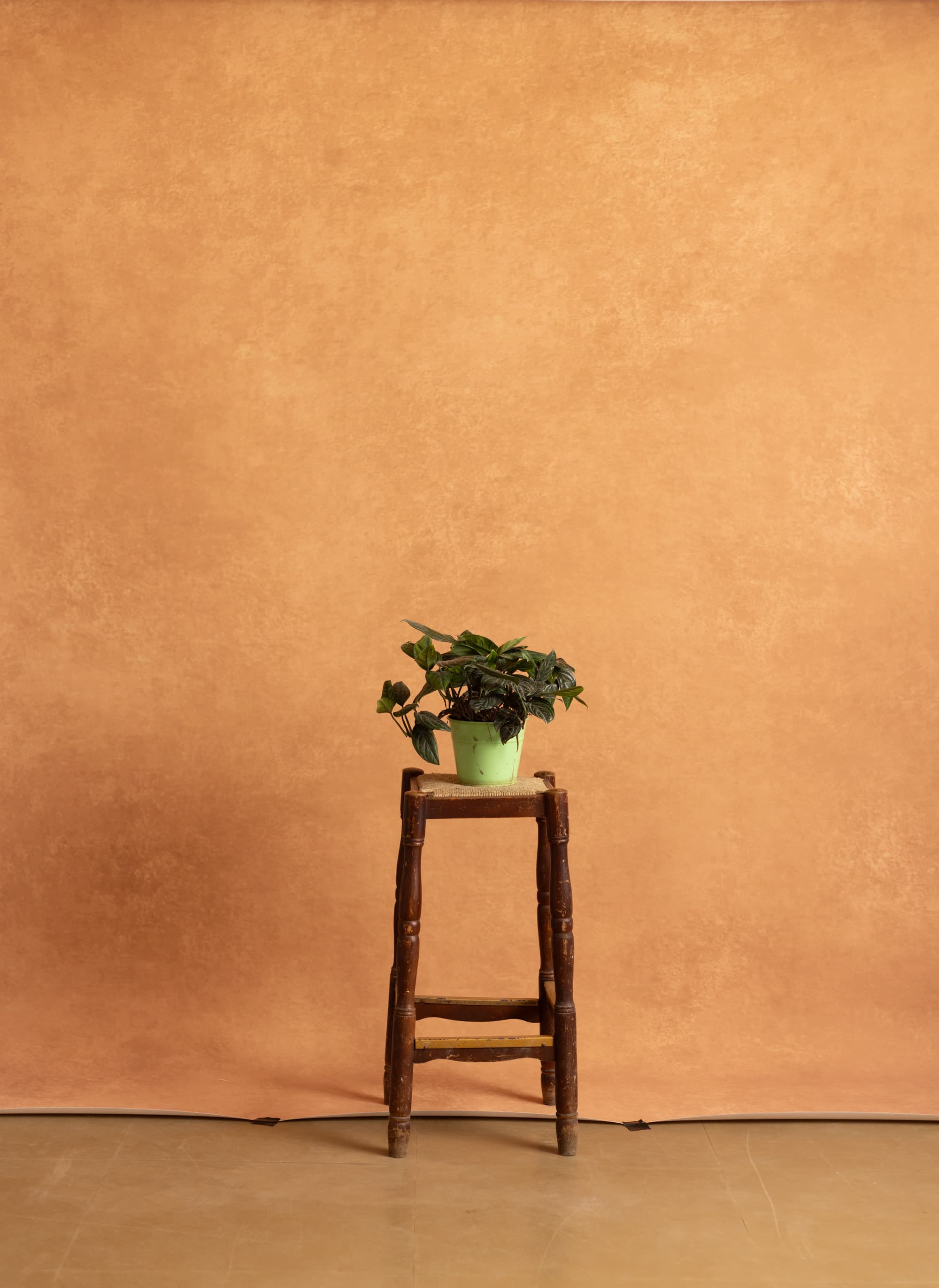 Indian Yellow Printed Paper Backdrop (RN#534)