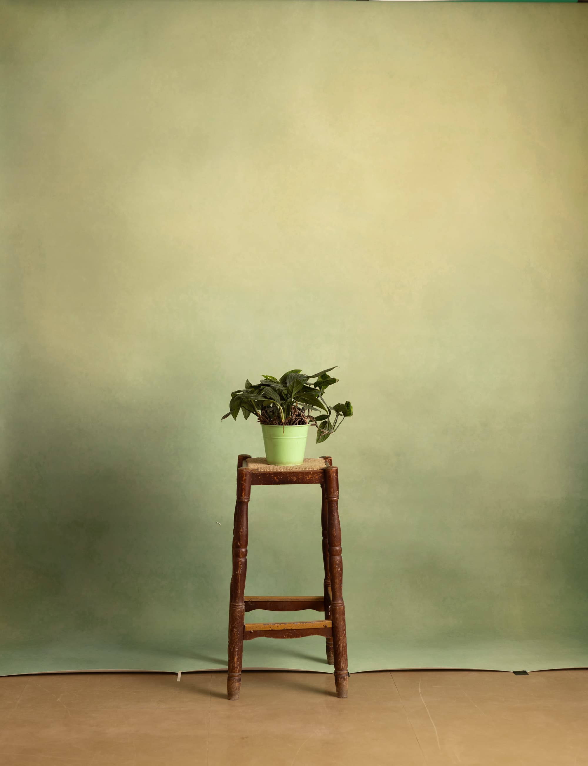 Sage Printed Paper Backdrop (RN#531)