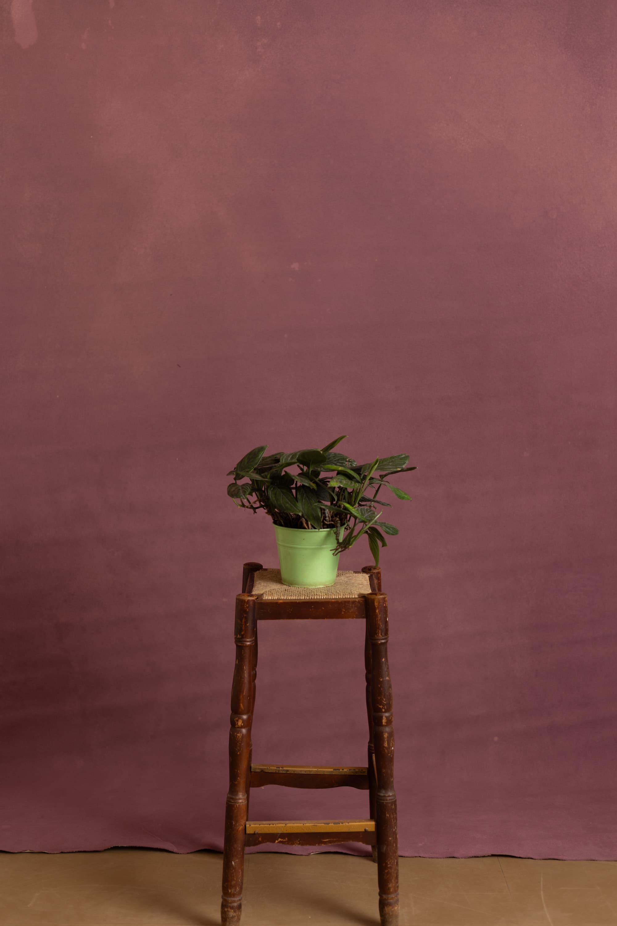 Rosy Mauve Painted Canvas Backdrop (RN#526)
