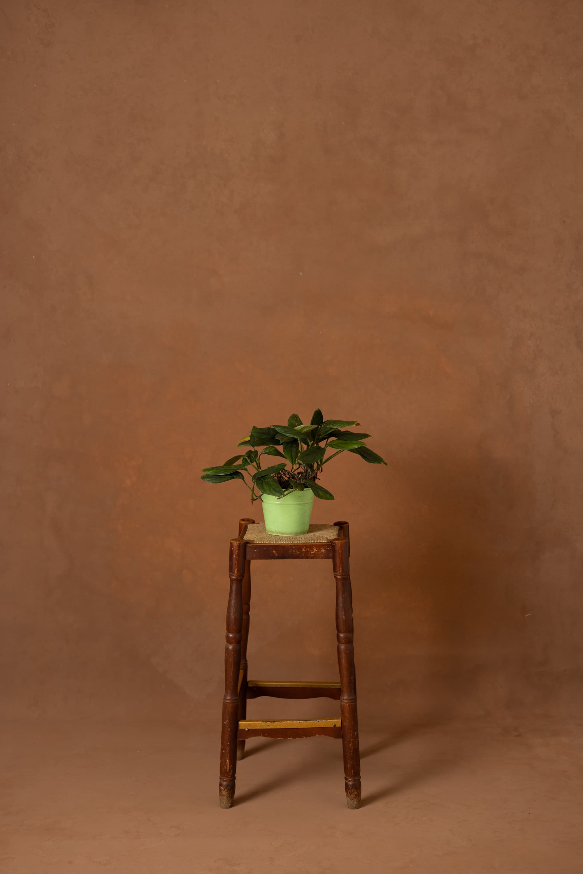 Mule Fawn Painted Canvas Backdrop (RN#519)