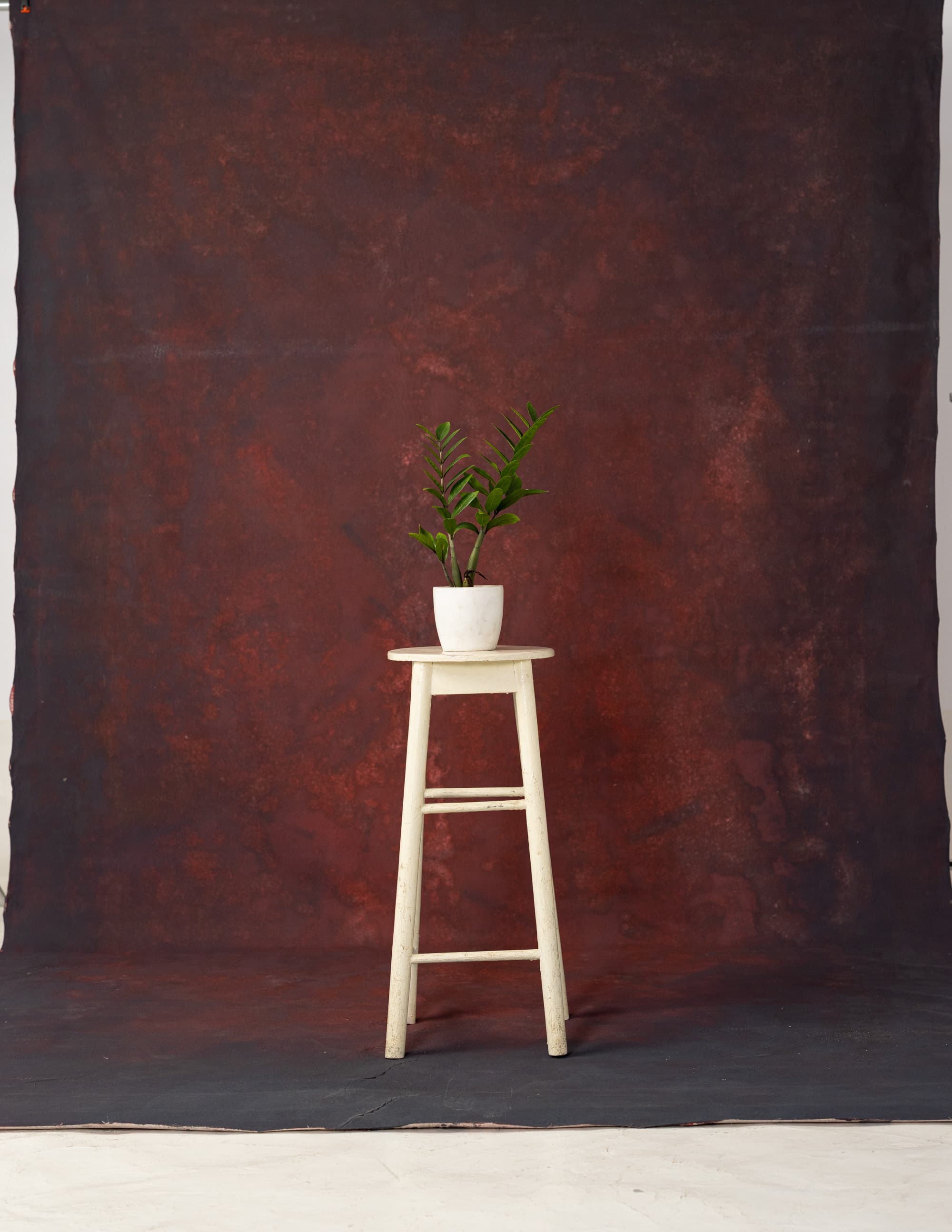 Espresso Painted Canvas Backdrop (RN#151)