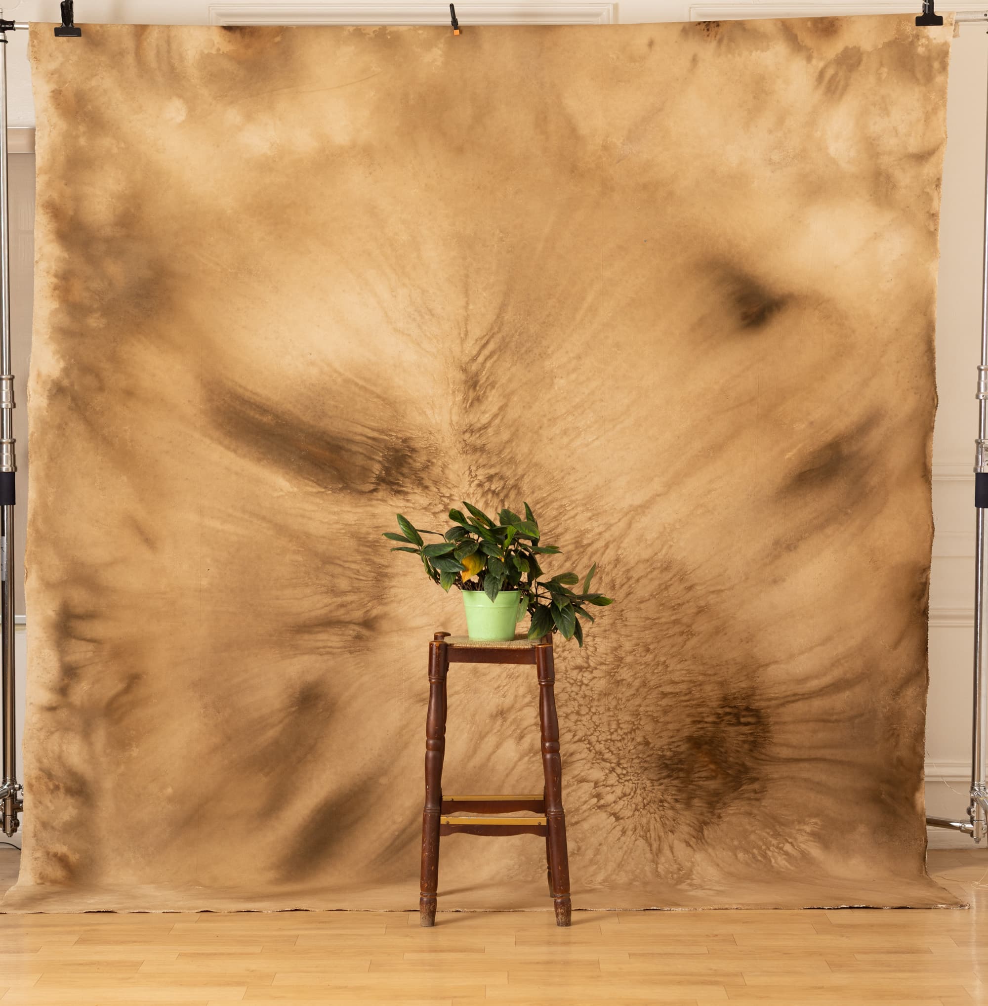 Brewed Earth Painted Canvas Backdrop (SL#483)