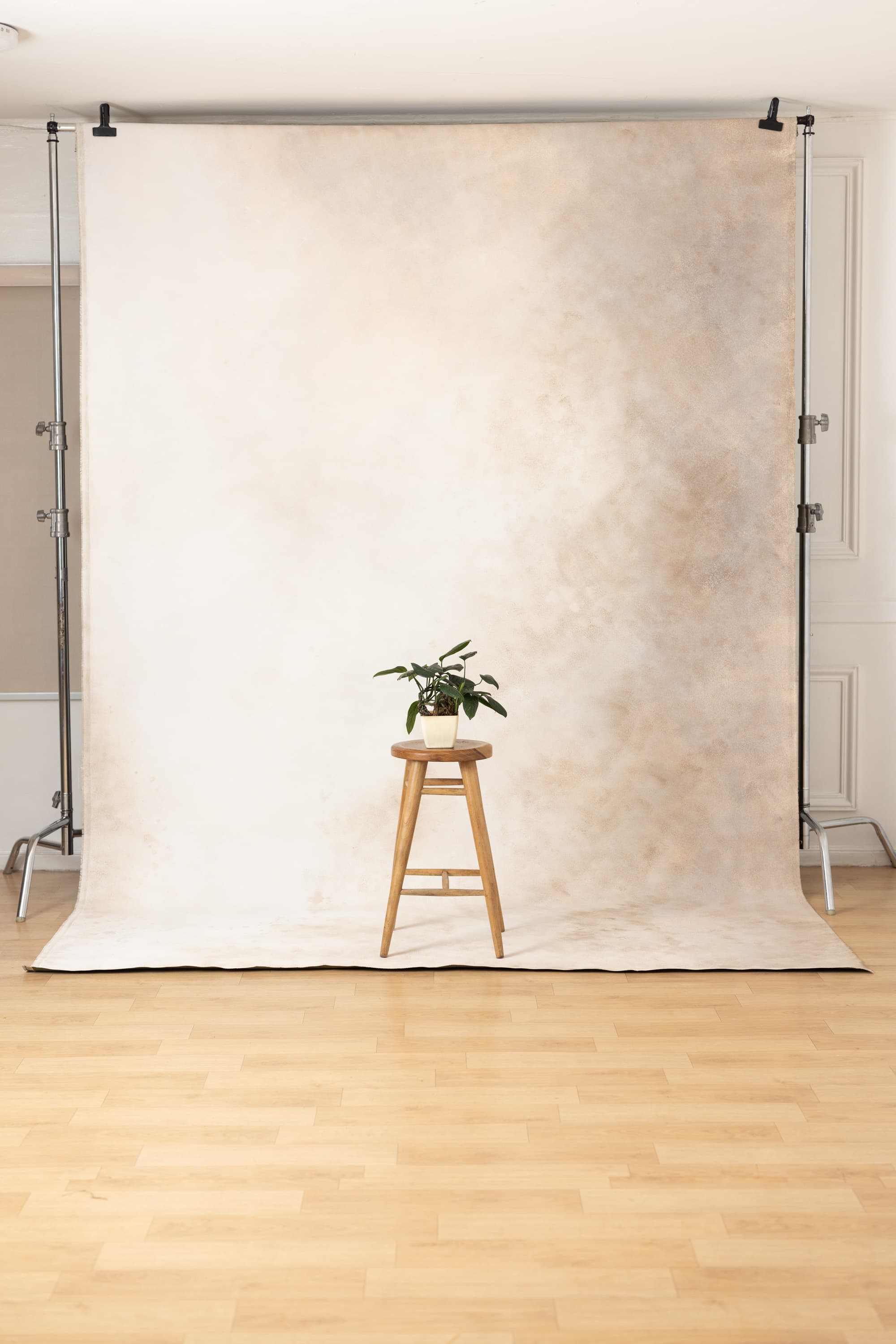 Olive Veil Painted Canvas Backdrop (SL#478)