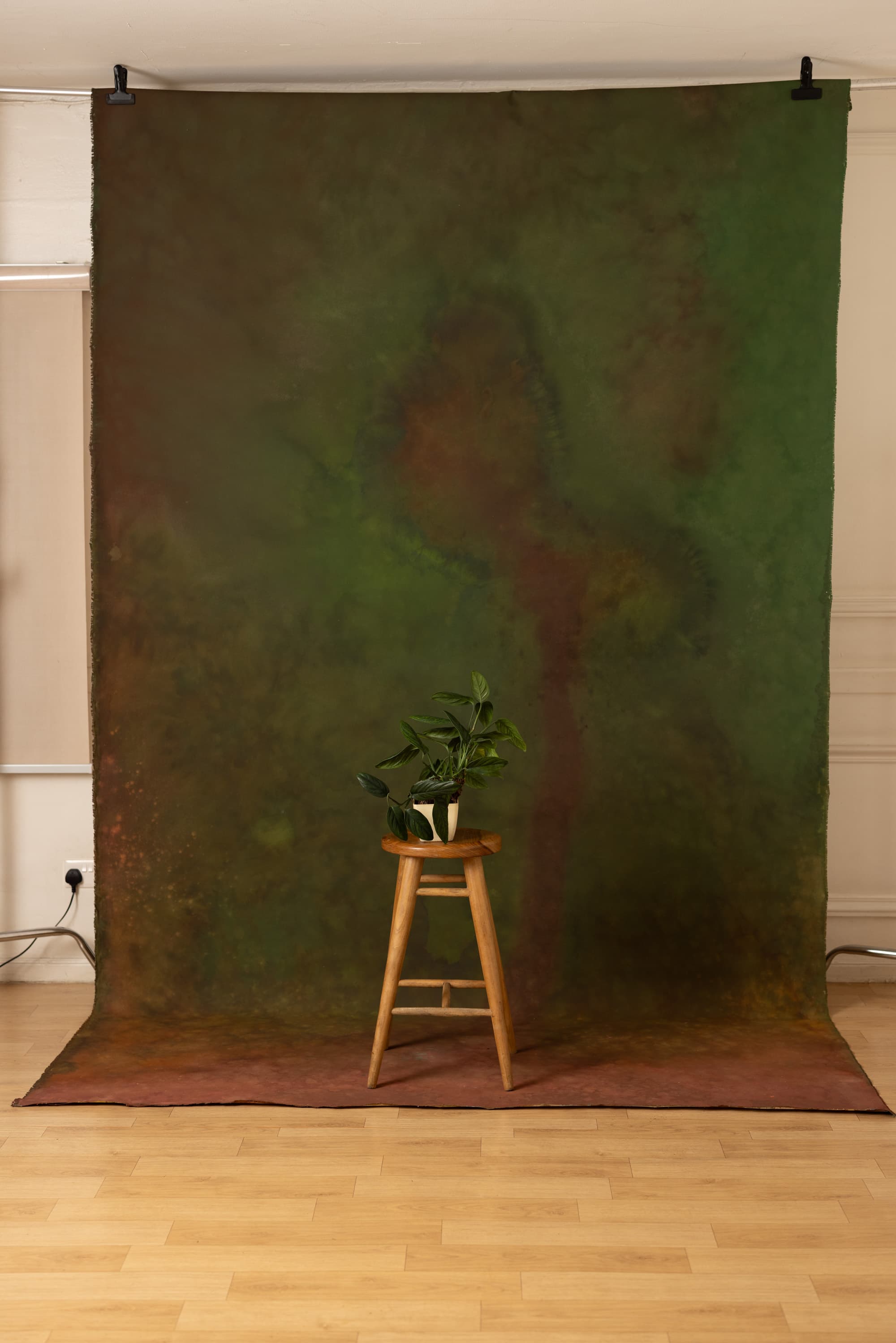 Forest Ember Painted Canvas Backdrop (RN#451)