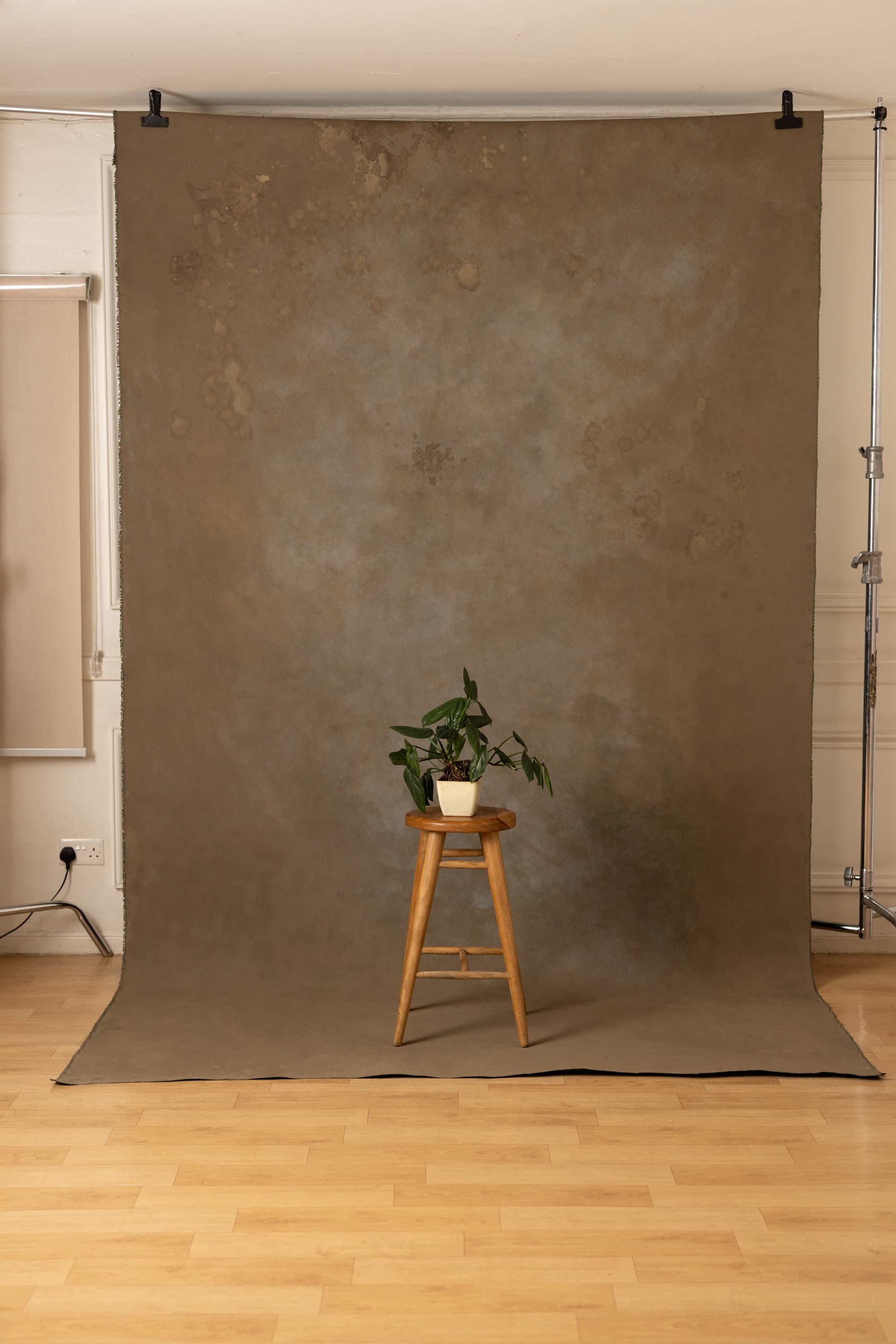 Seaweed Shoreline Painted Canvas Backdrop (RN#450)