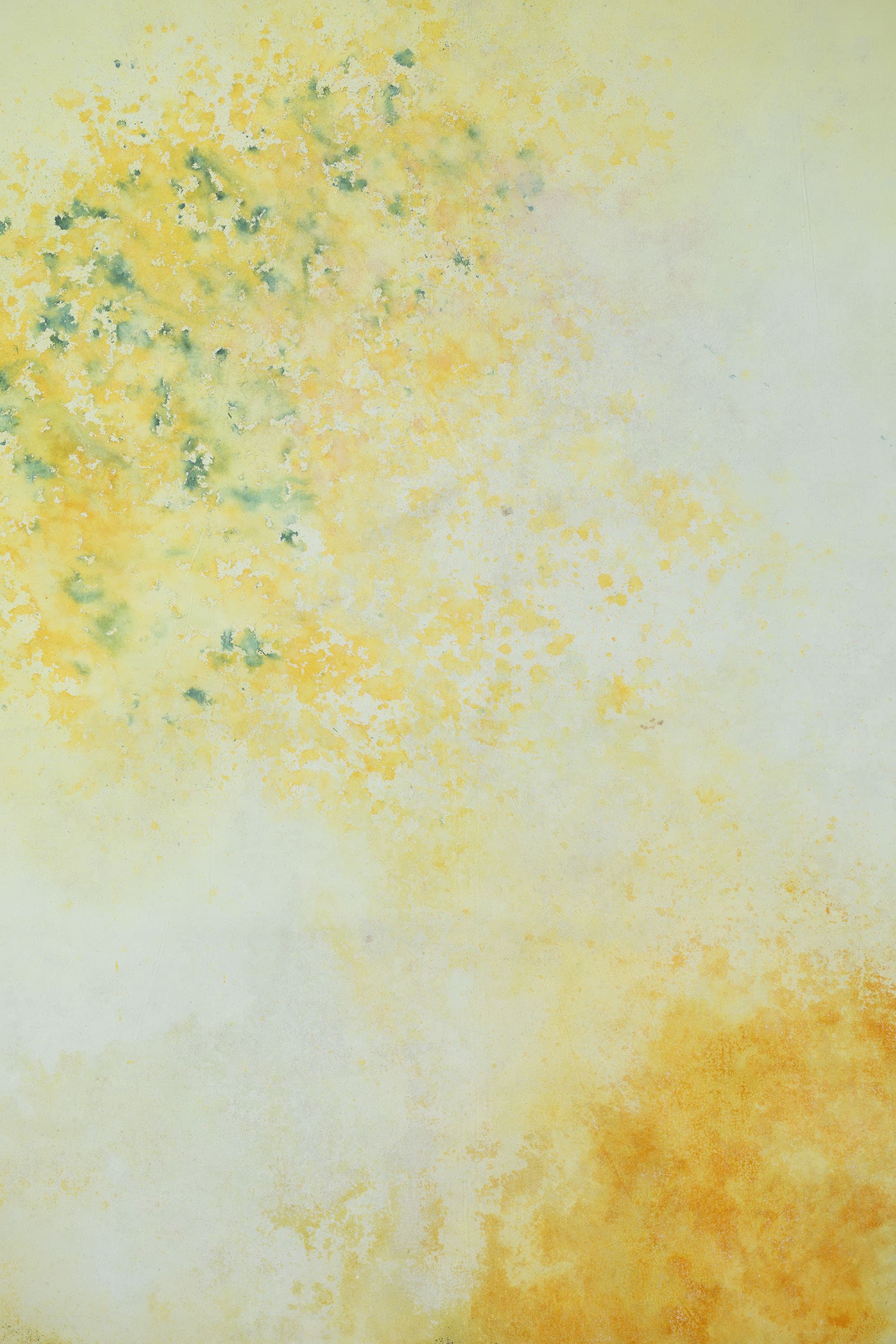 Wheatfield and Cloudy Painted Canvas Backdrop (RN#409)