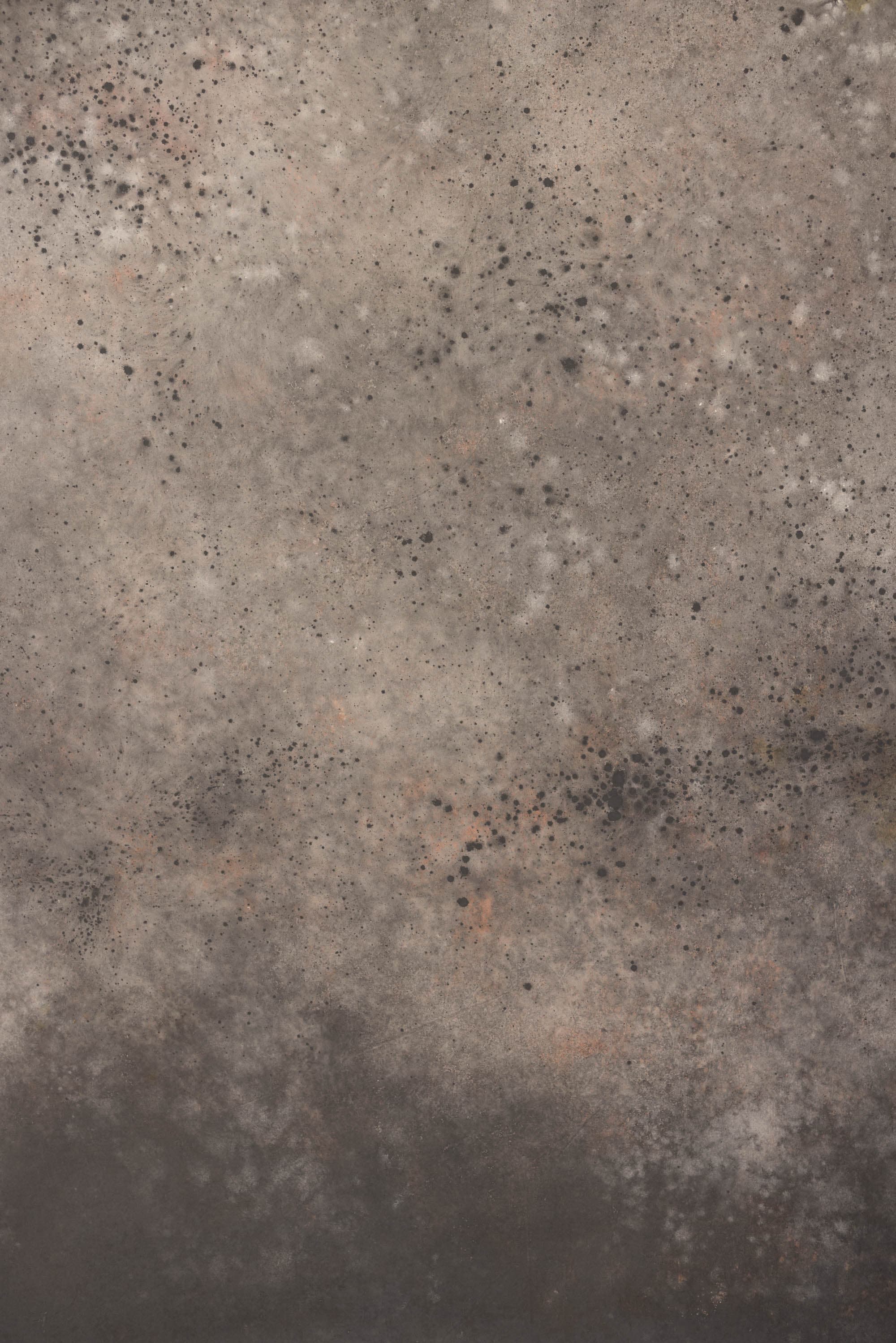 Cosmos and Martini Painted Canvas Backdrop (RN#408)