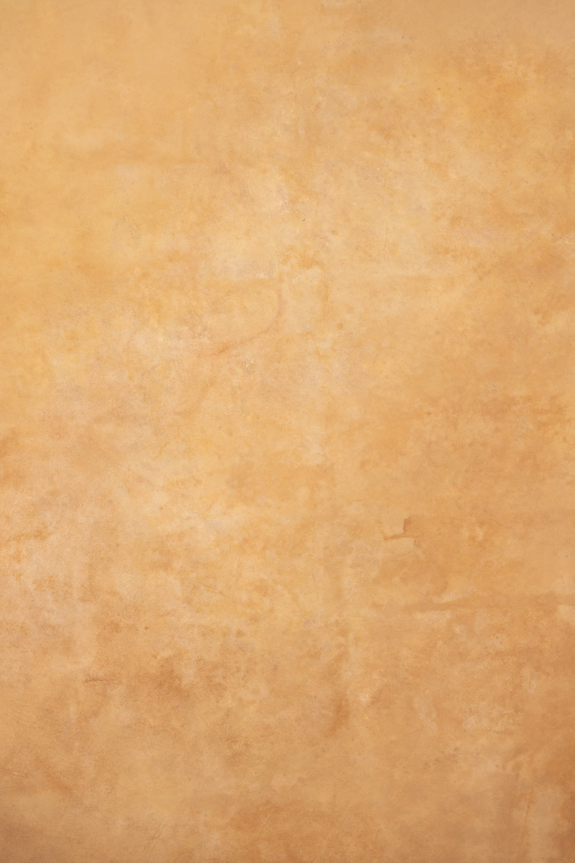 Cappuccino and Croc Painted Canvas Backdrop (RN#274)