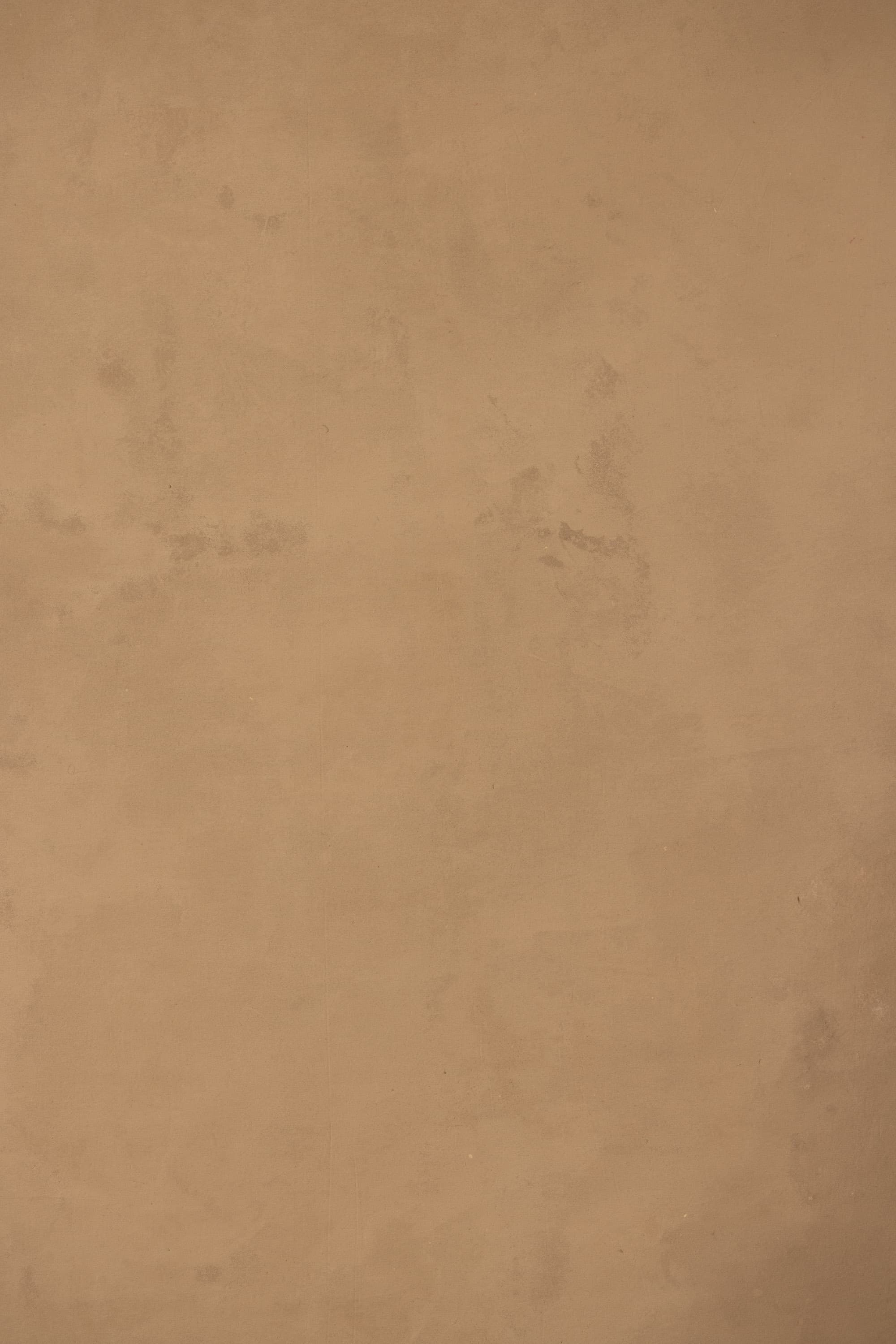 Burly Wood Painted Canvas Backdrop (RN#422)