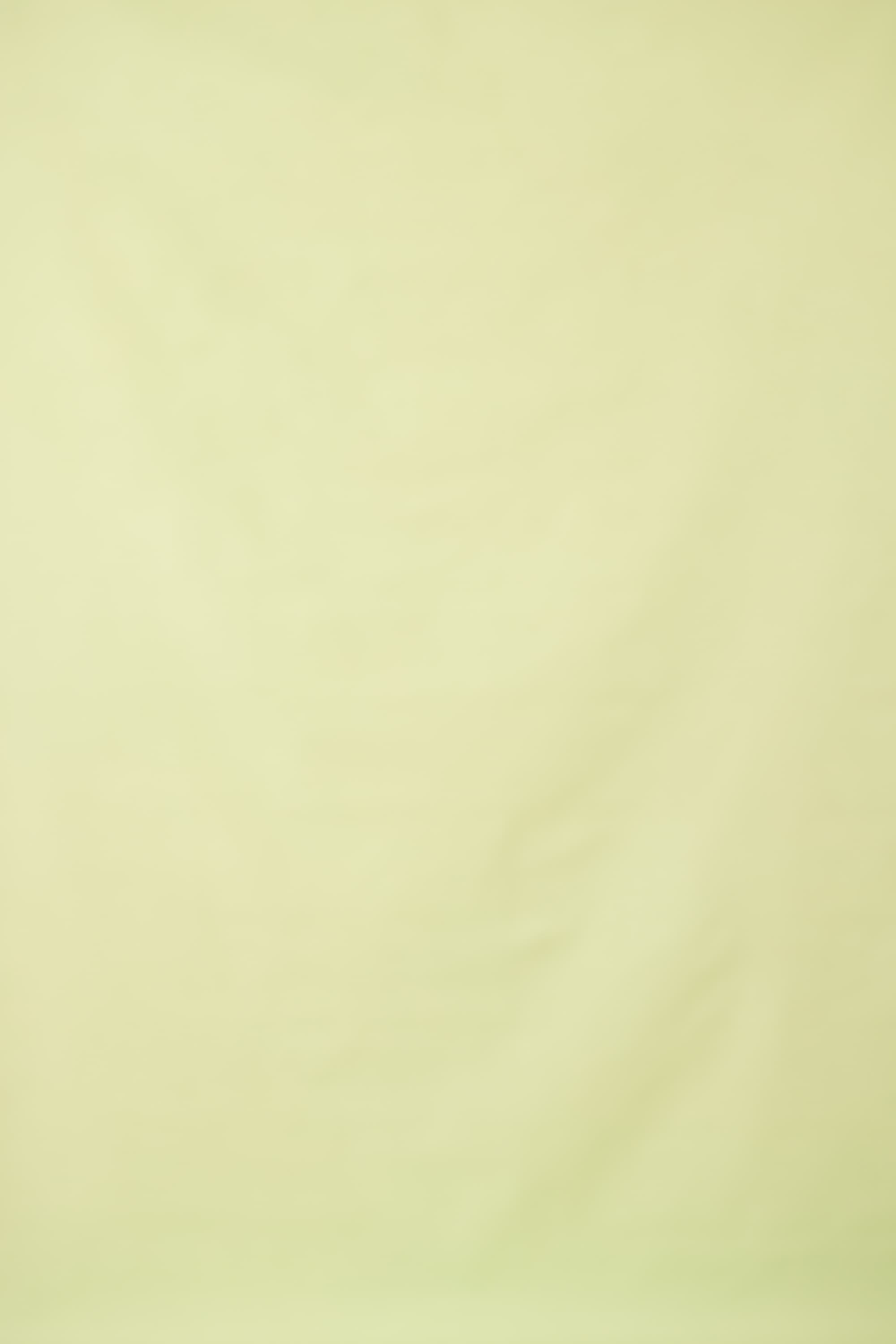 Green Mist Painted Canvas Backdrop (RN#423)
