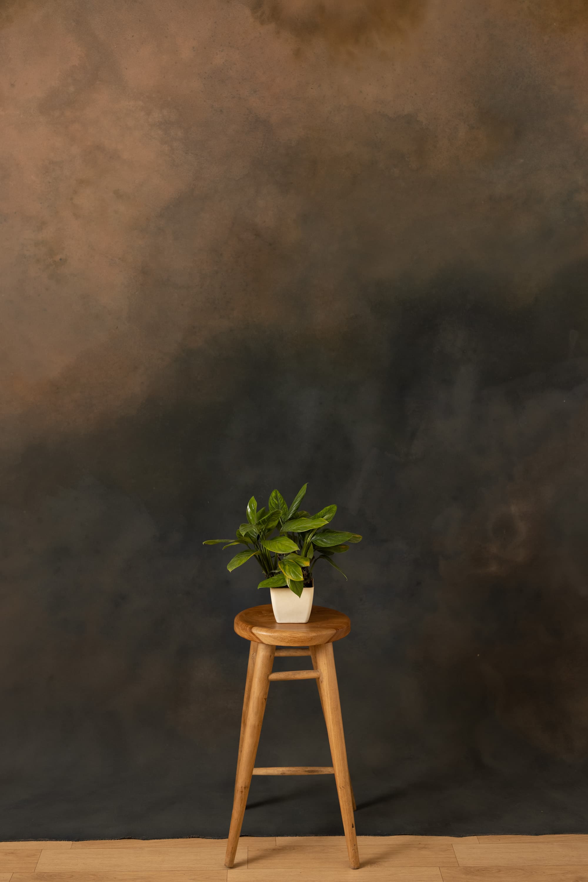 Midnight Moss Painted Canvas Backdrop (RN#400)