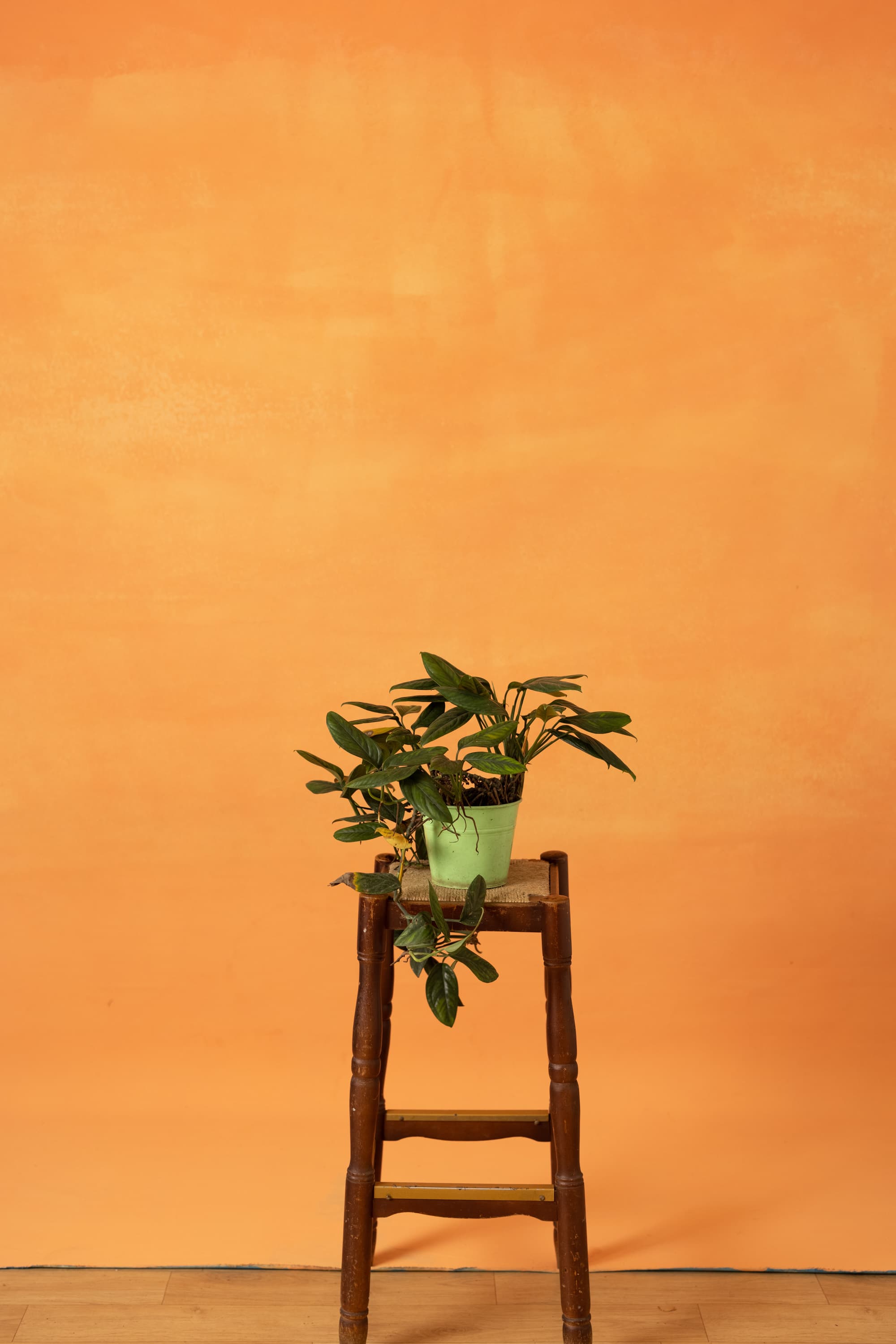 Orange Dreamscape Painted Canvas Backdrop (RN#392)