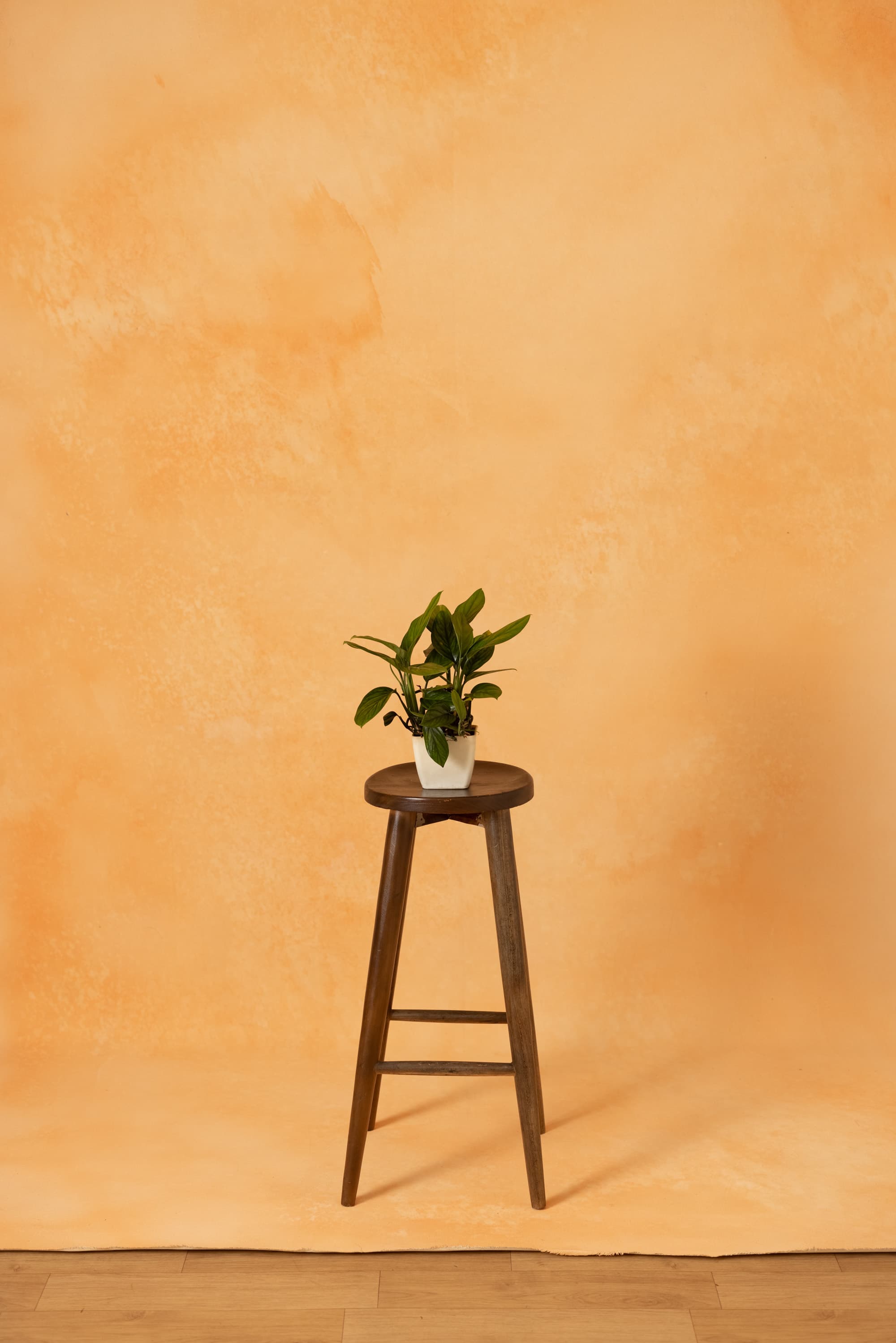 Peach Mirage Painted Canvas Backdrop (RN#393)