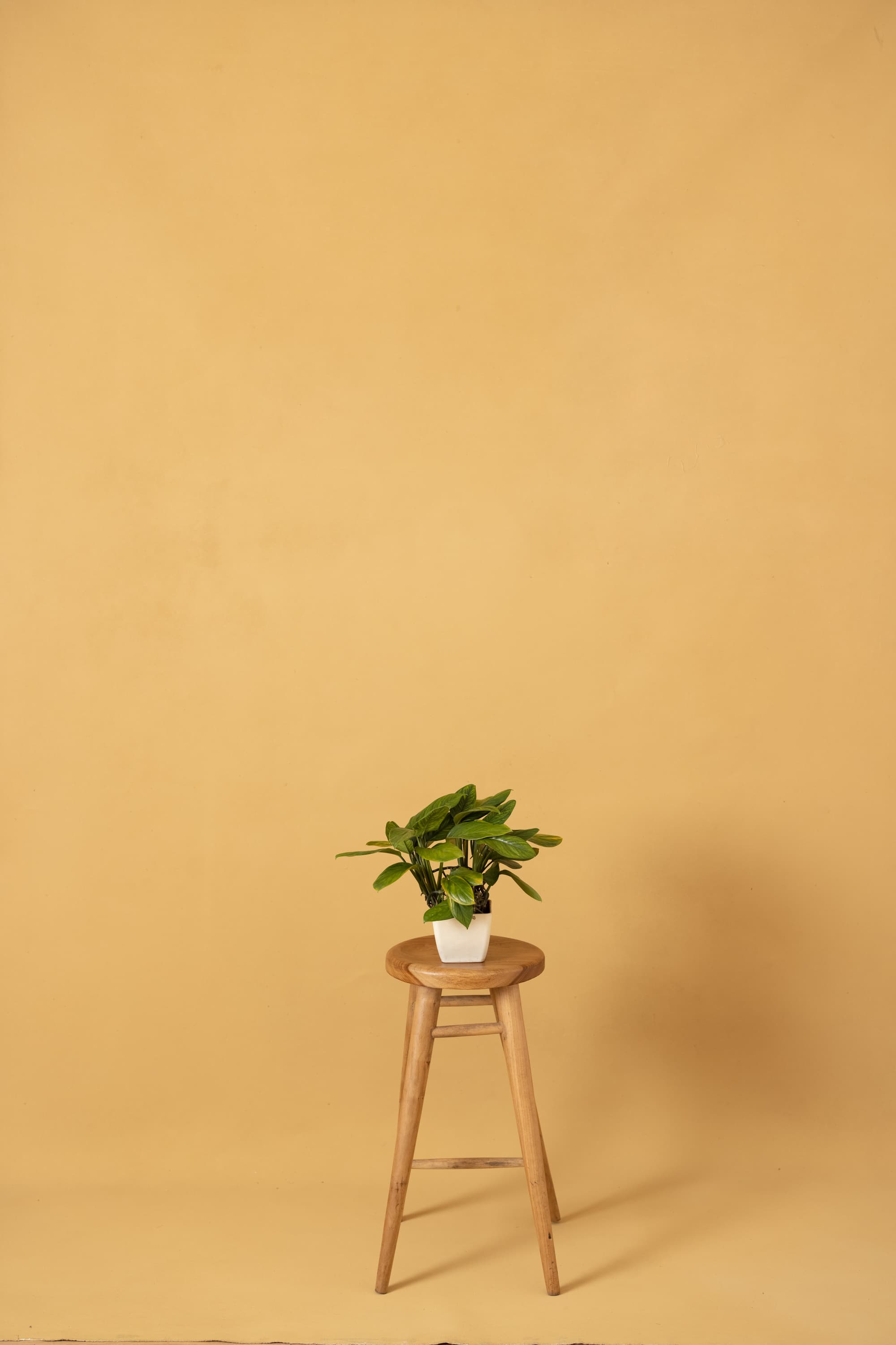 Textured Warm Beige Painted Canvas Backdrop (RN#276)