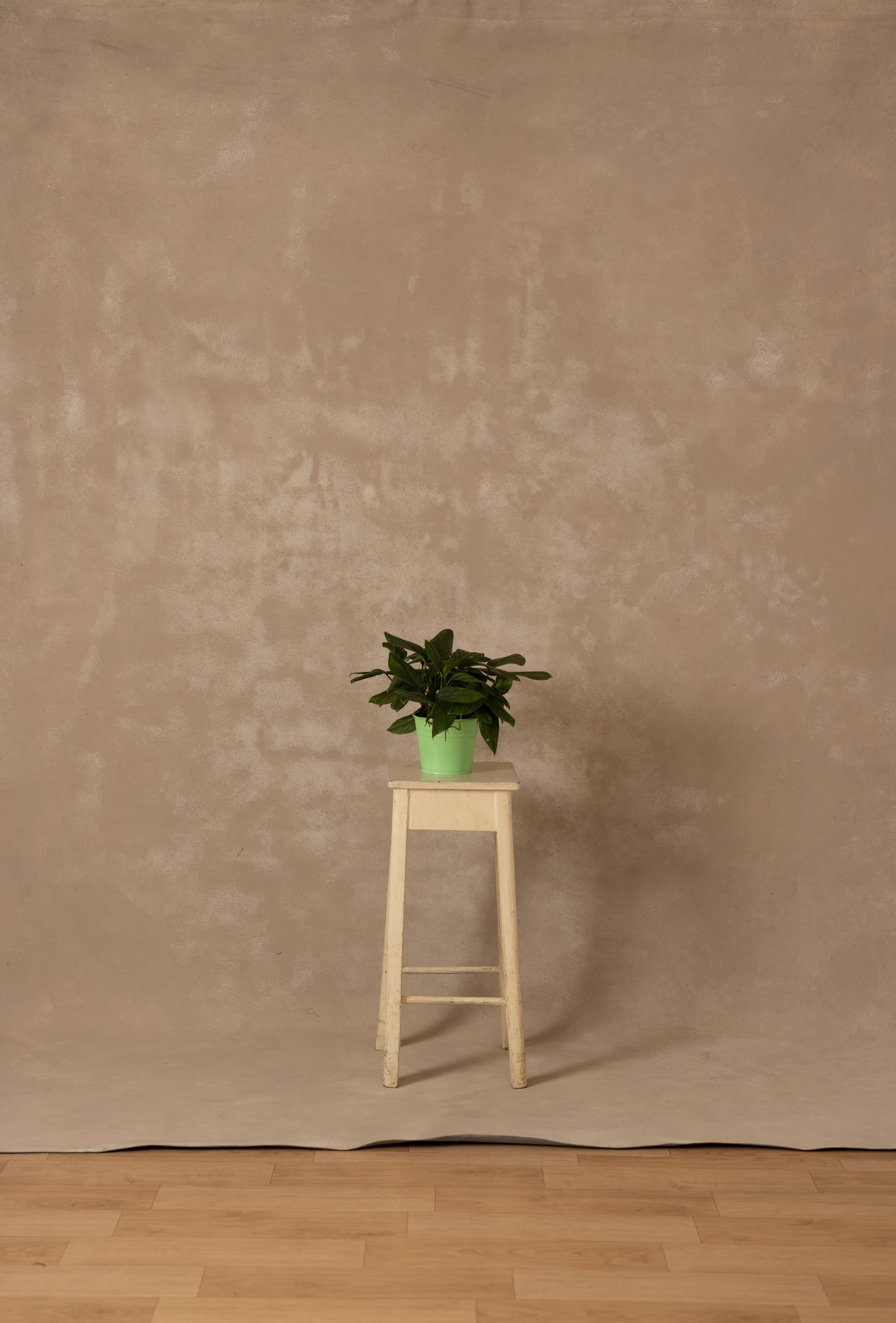 Ivory Painted Canvas Backdrop (RN#333)