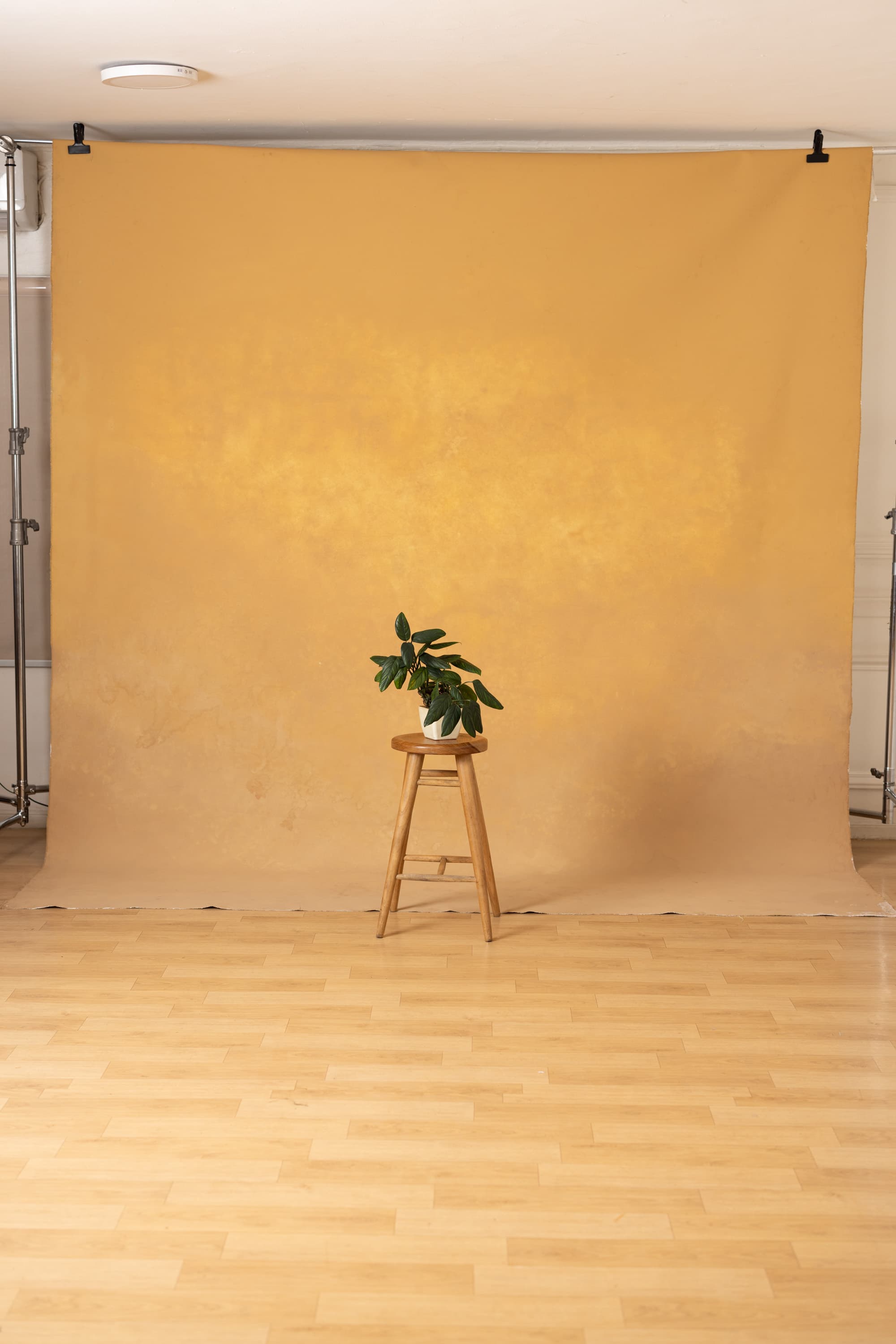 BeigeWhite Painted Canvas Backdrop (RN#277)