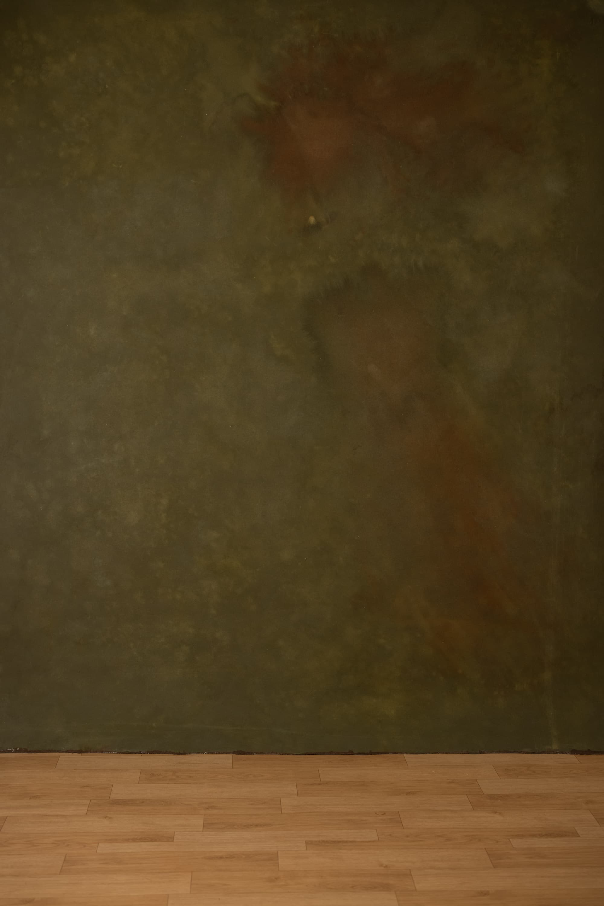 Red Head Green Painted Canvas Backdrop (RN#319)