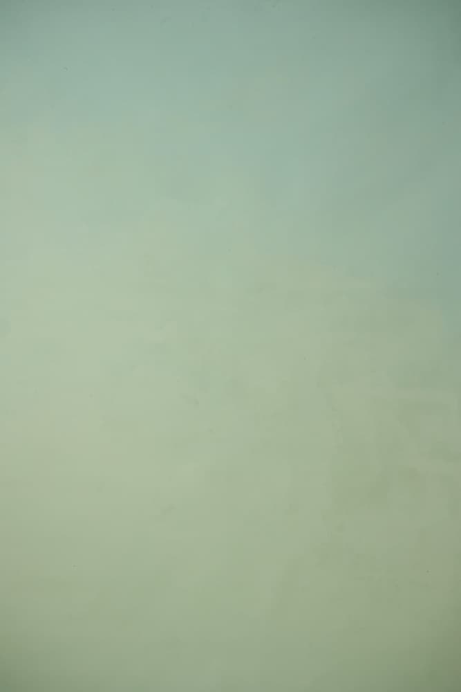 Sweet Mint Painted Canvas Backdrop (RN#304)