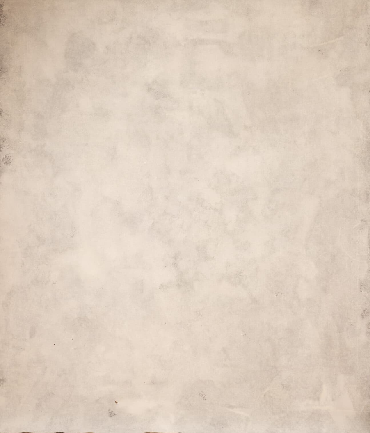 Bone white Painted Canvas Backdrop (RN#273)