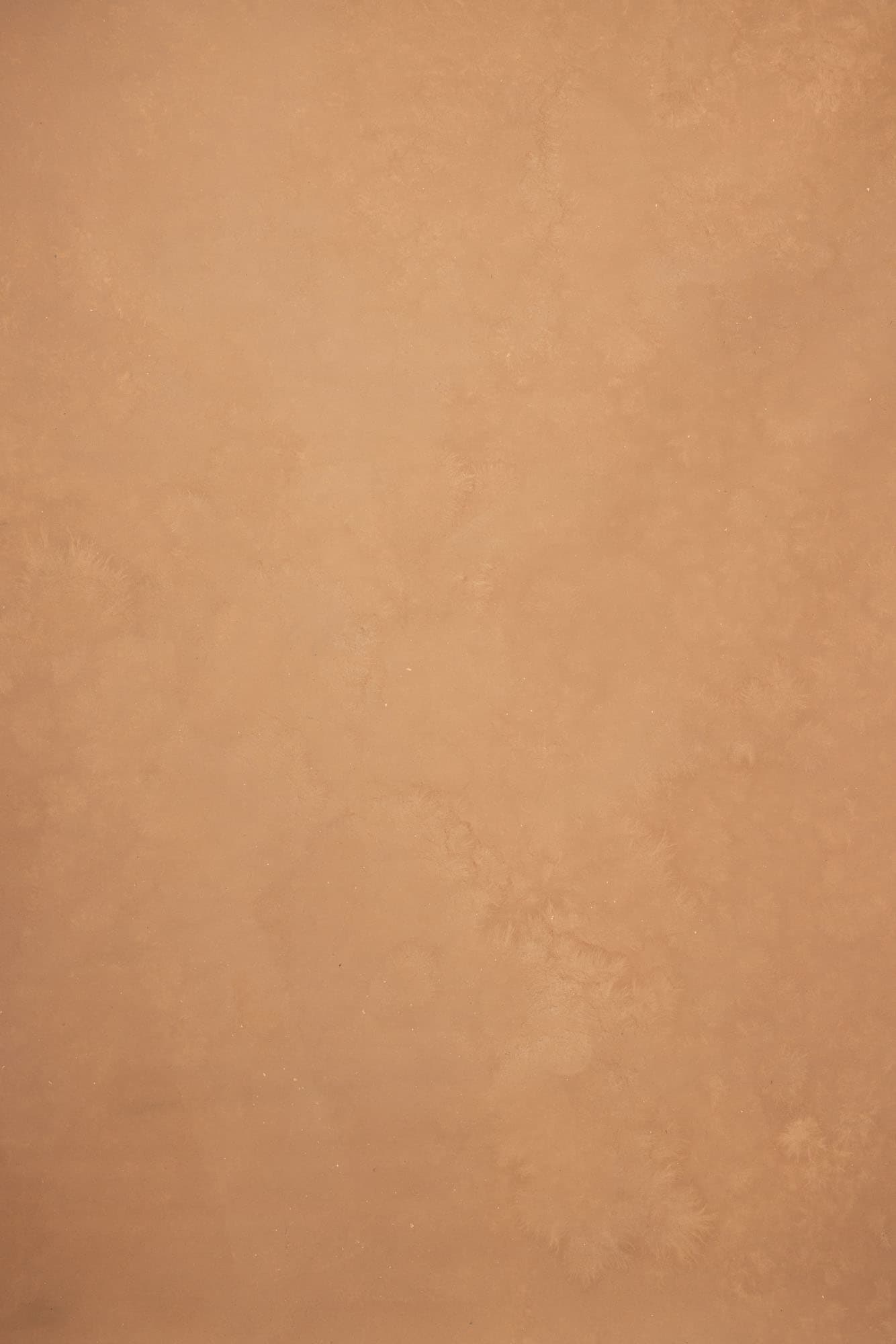 Brown Rust Painted Canvas Backdrop (RN#251)
