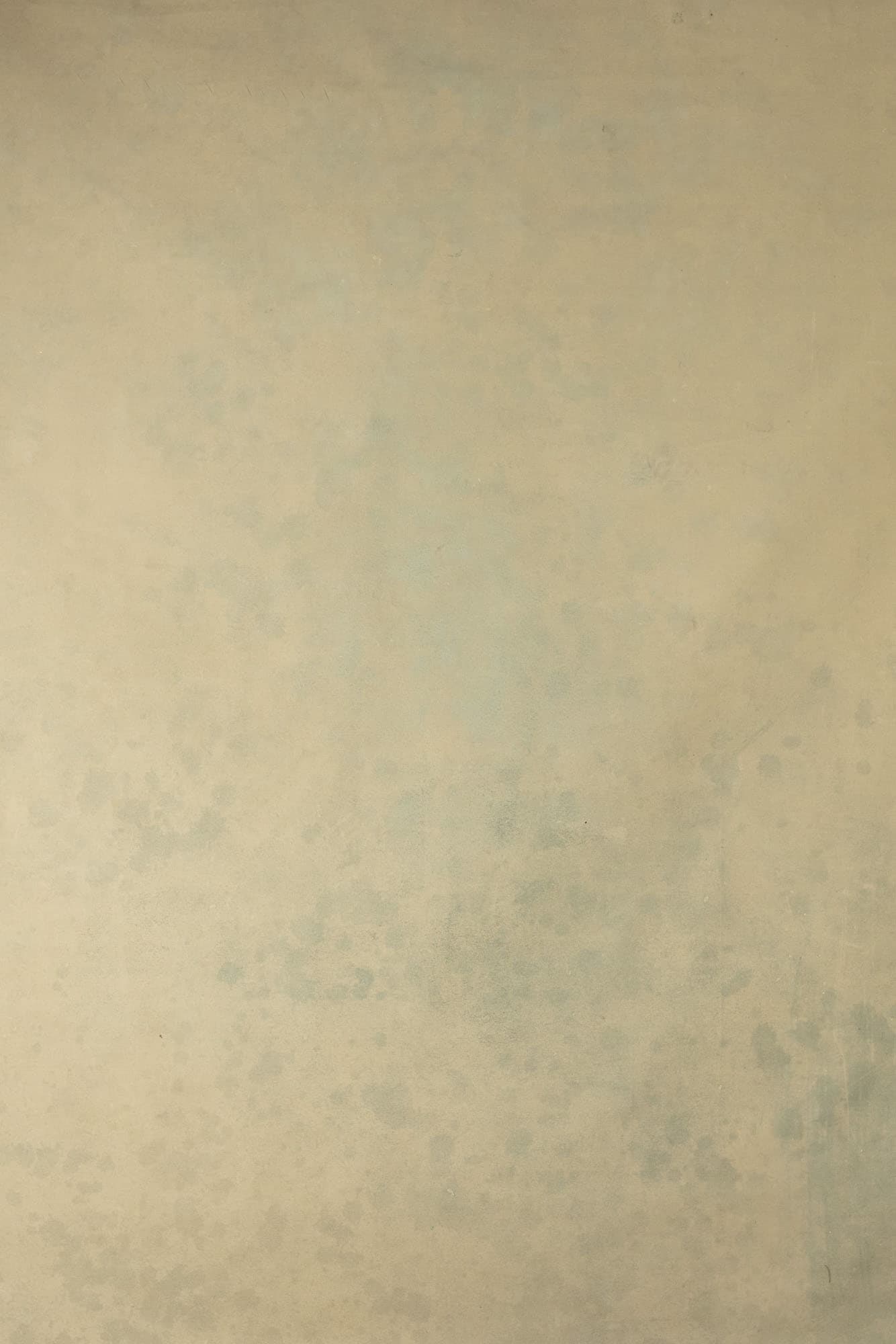 Muesli Painted Canvas Backdrop (RN#212)