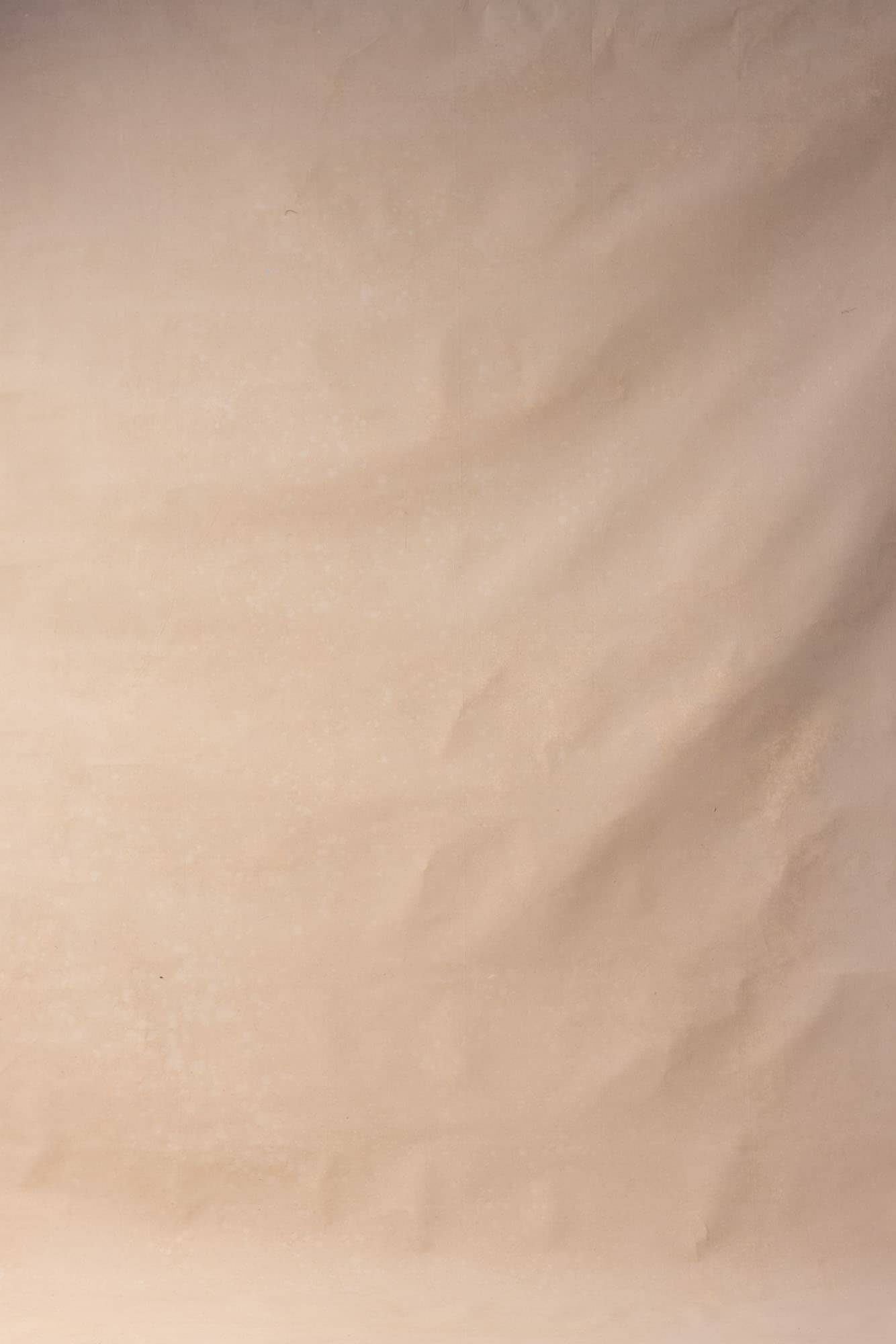 Antique Brass Painted Canvas Backdrop (RN#215)
