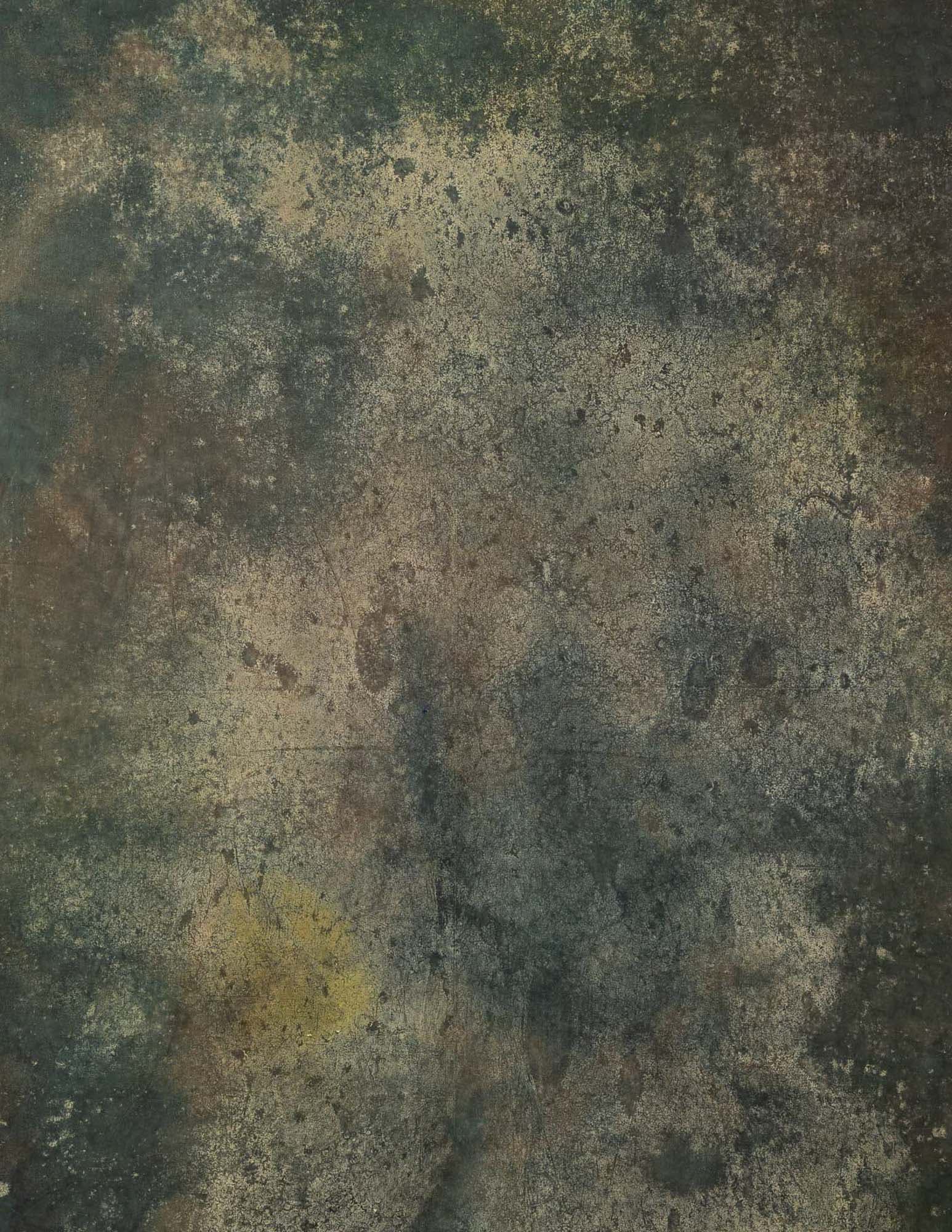 Camel Grunge Painted Canvas Backdrop (RN#41)