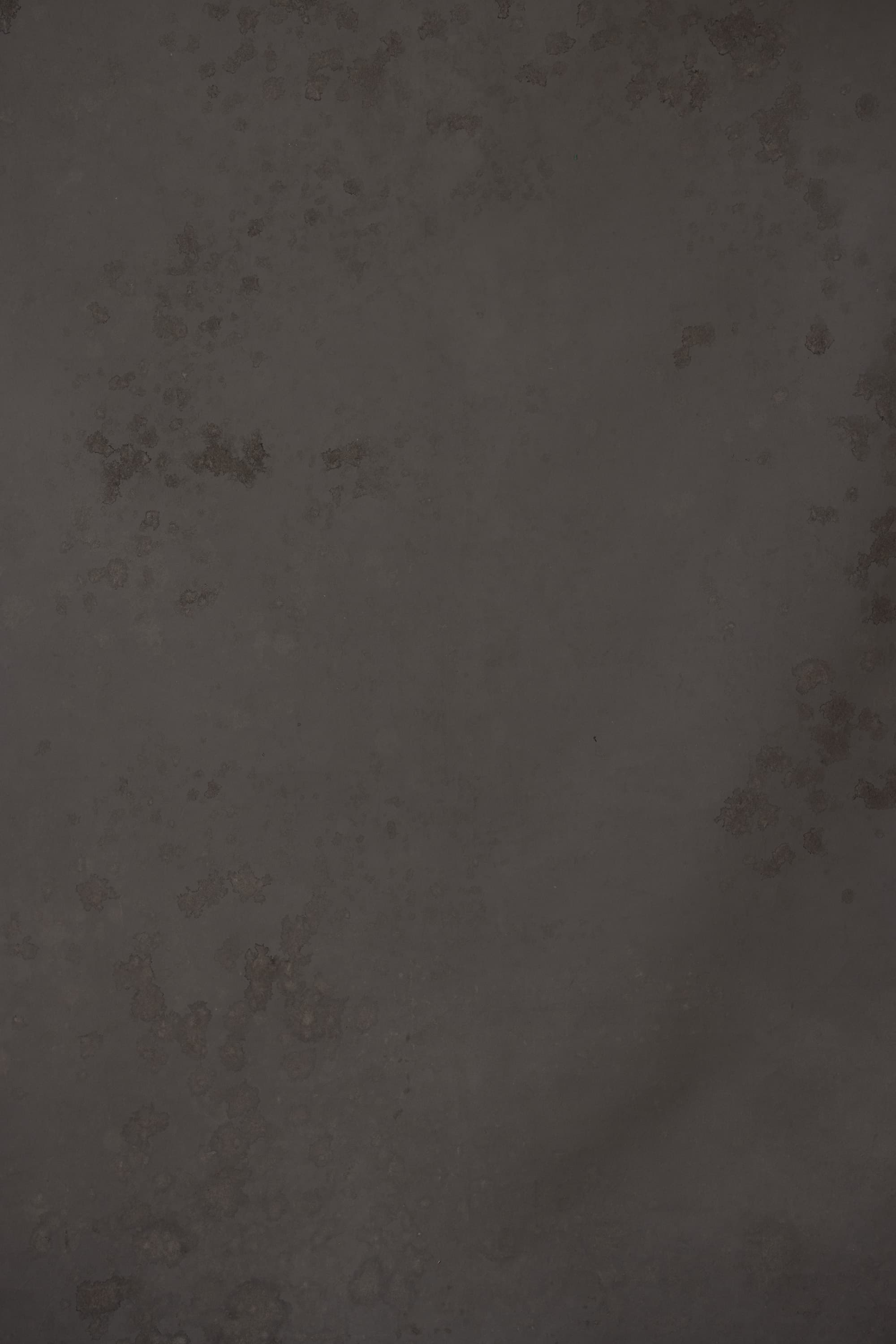 Parched Seal Painted Canvas Backdrop (RN#143)