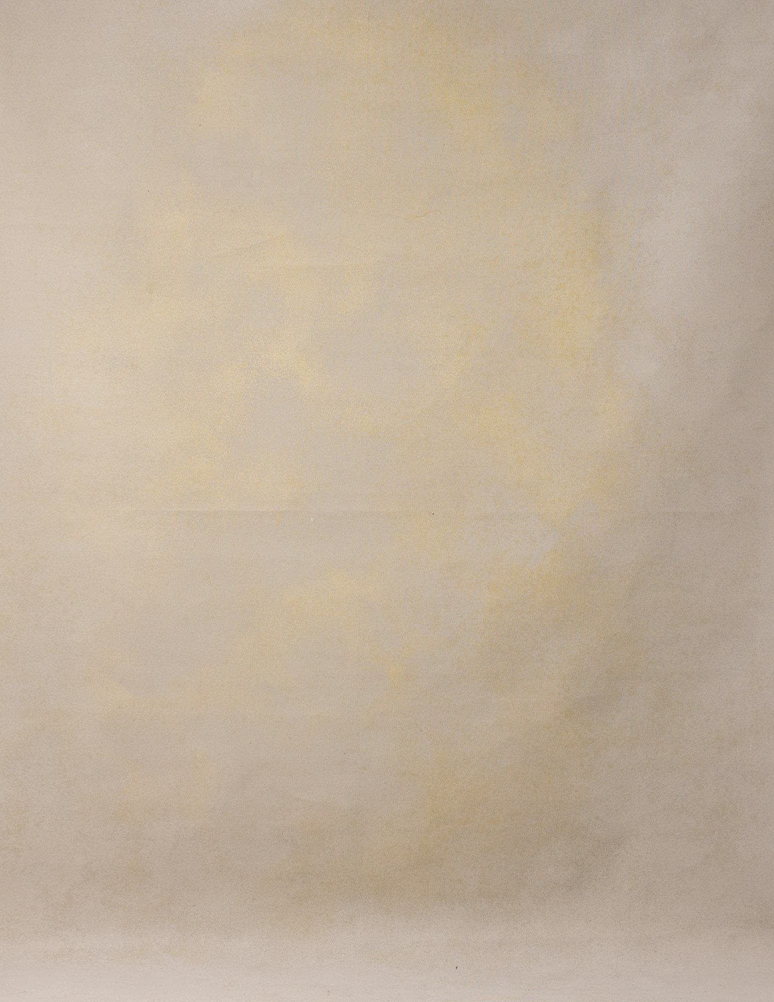 Mushroom Painted Canvas Backdrop (RN#220)