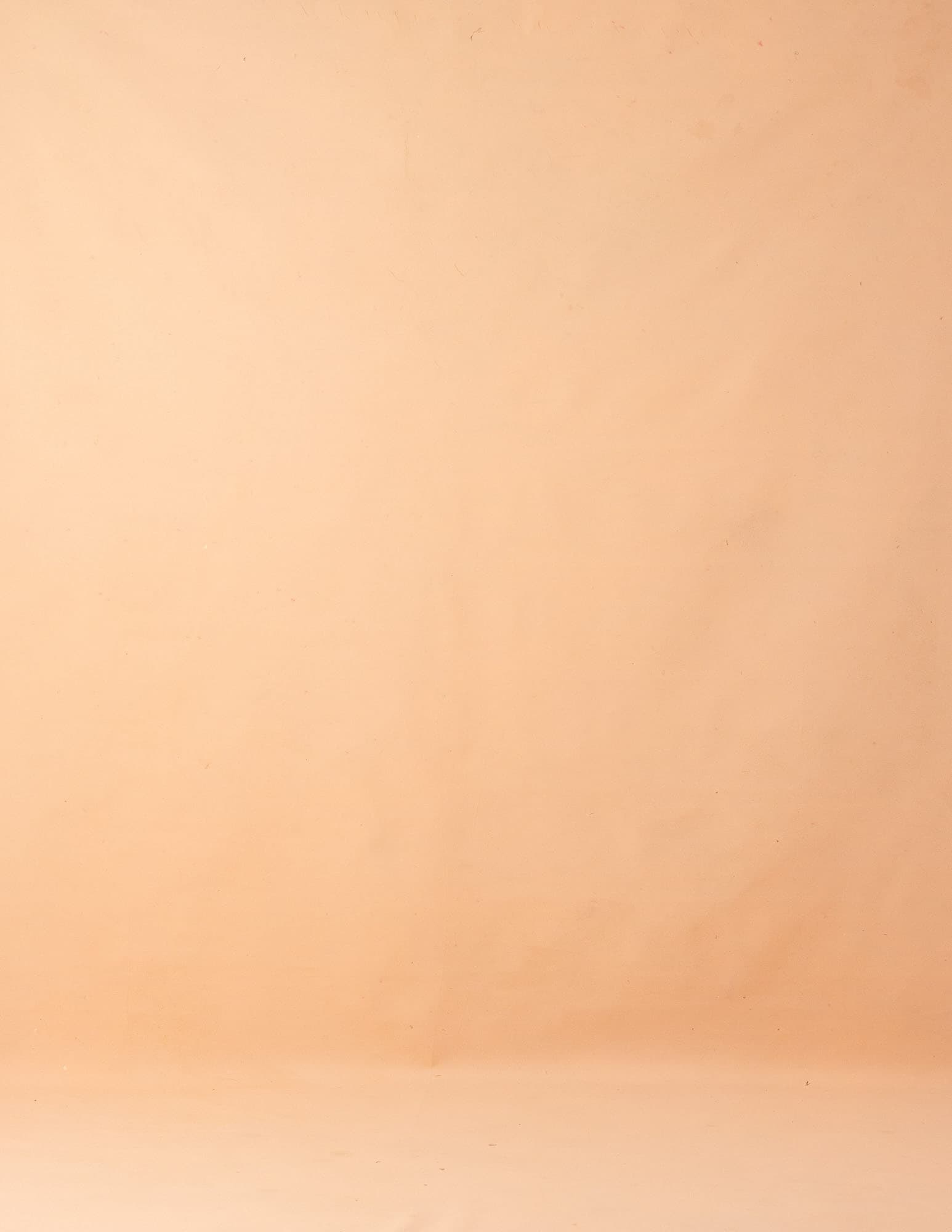 Desert Orange Painted Canvas Backdrop (RN#26)