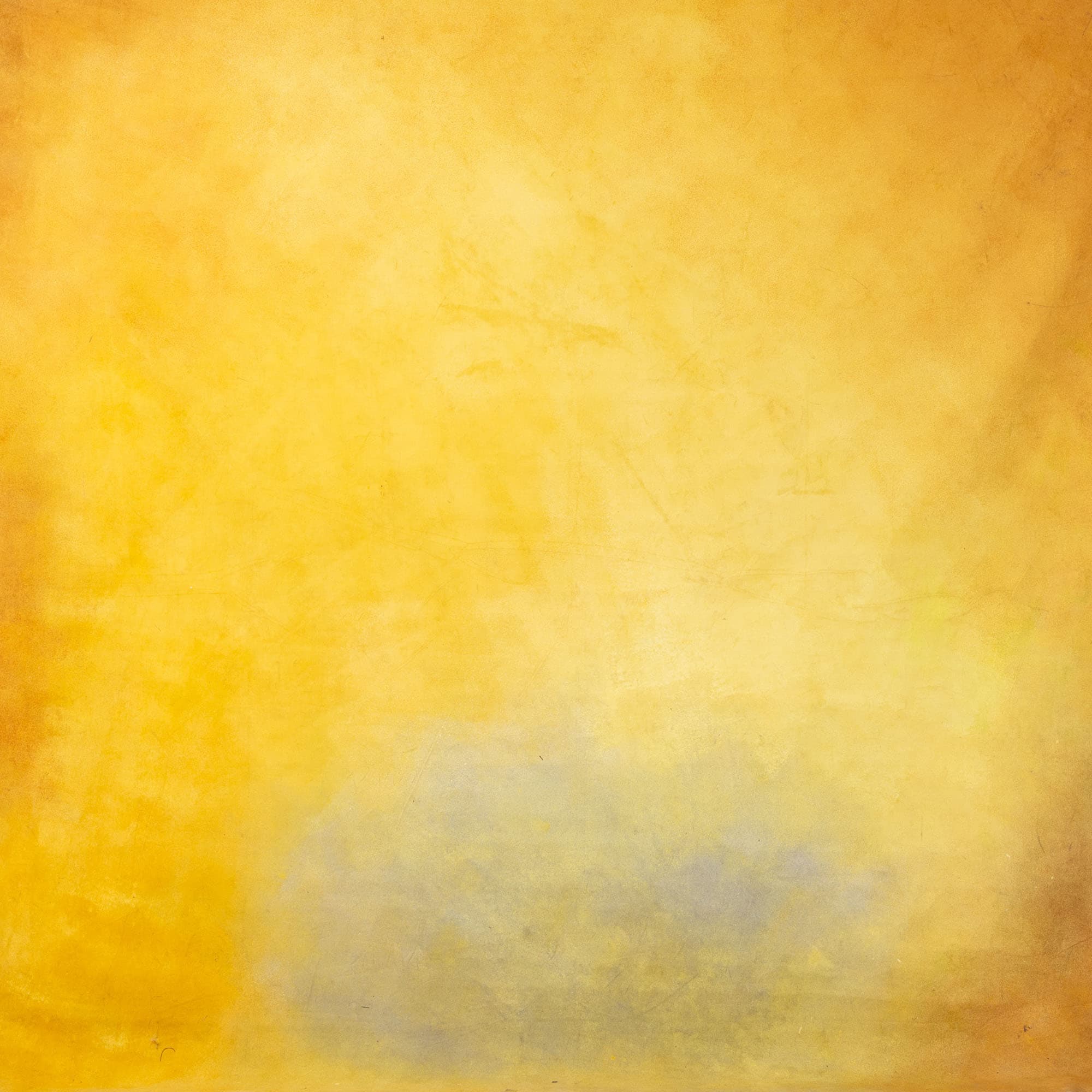 Fire Bush Painted Canvas Backdrop (RN#17)