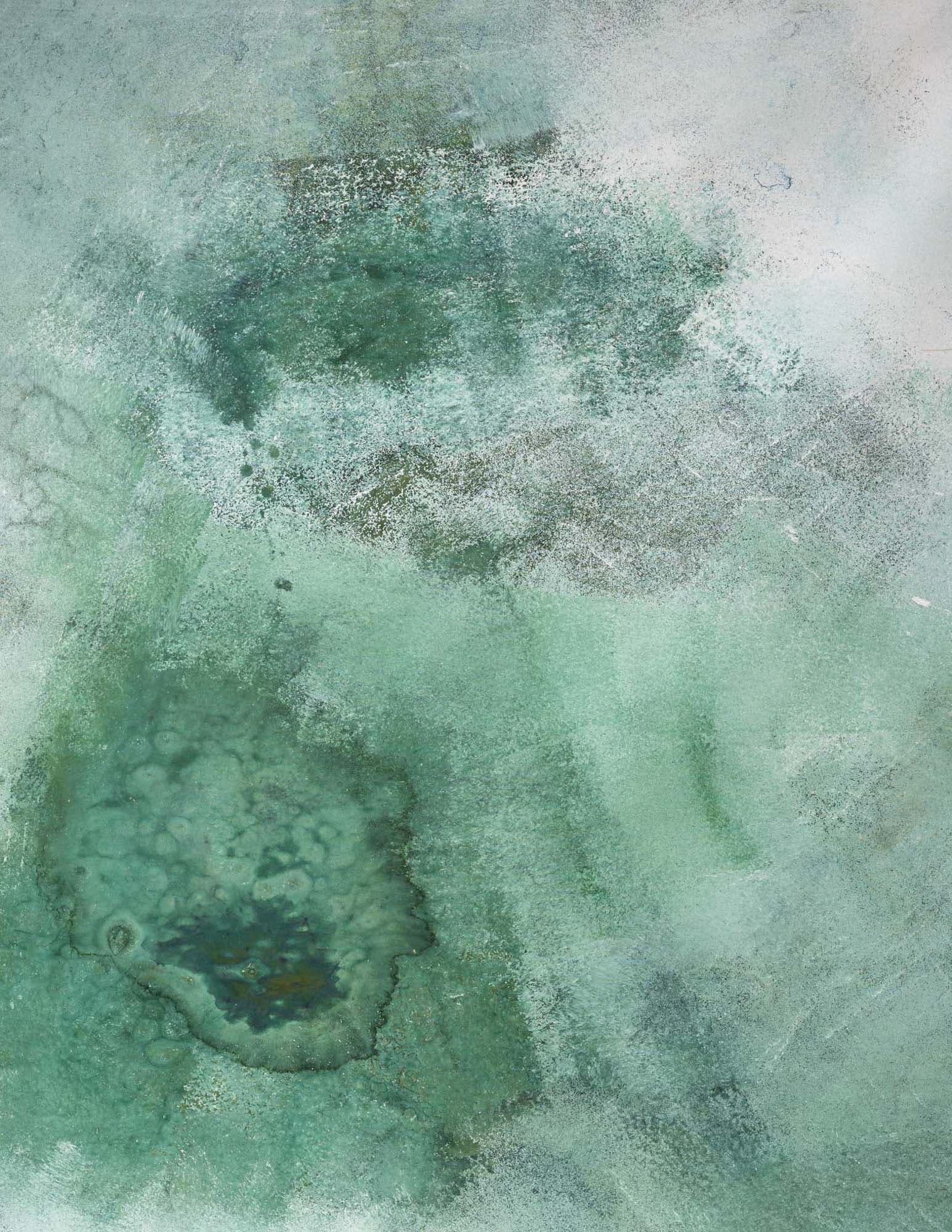 Camouflaged Green Painted Canvas Backdrop (RN#48)