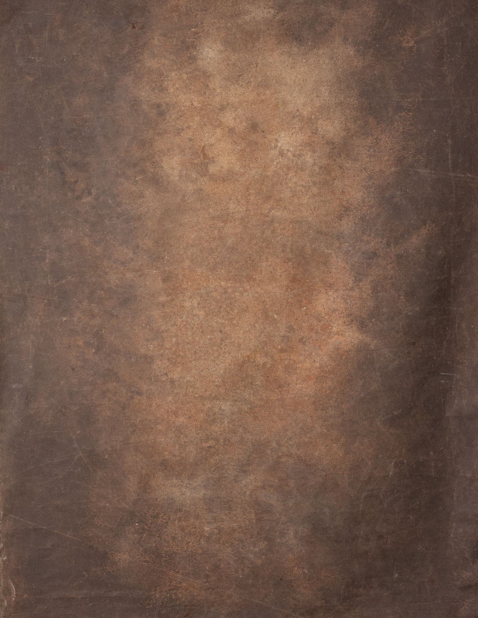 Otter Brown Painted Canvas Backdrop (RN#60)