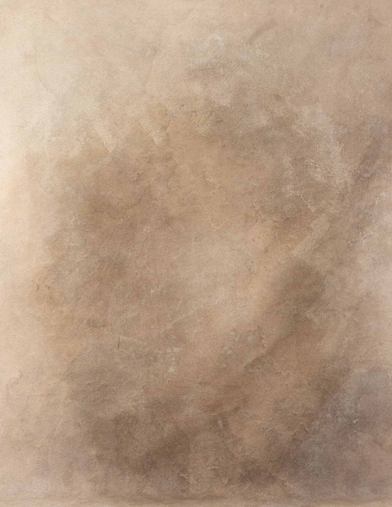 Light Taupe Painted Canvas Backdrop (RN#158)