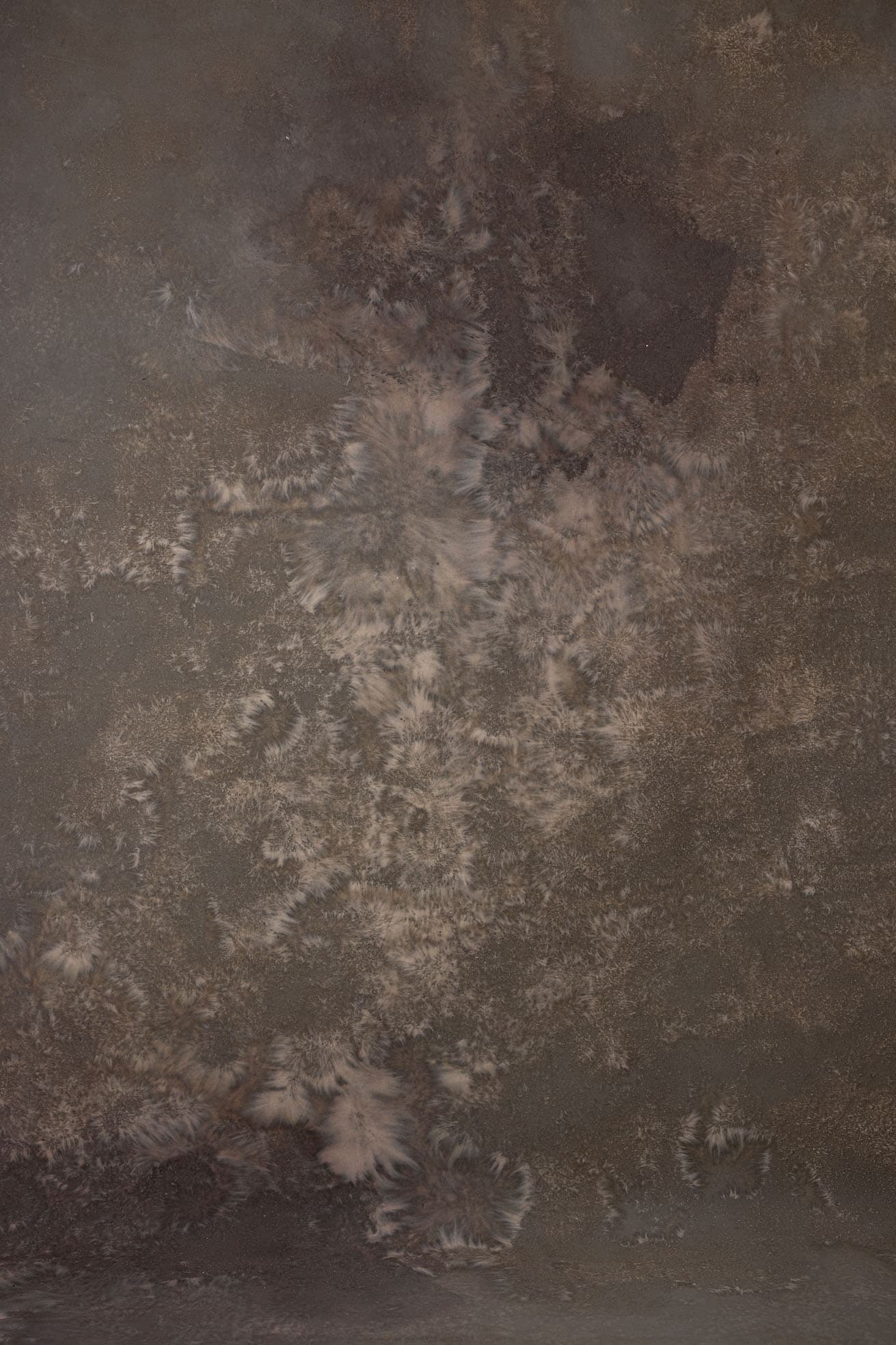 Stonewall Digital Backdrop (DB#10195)