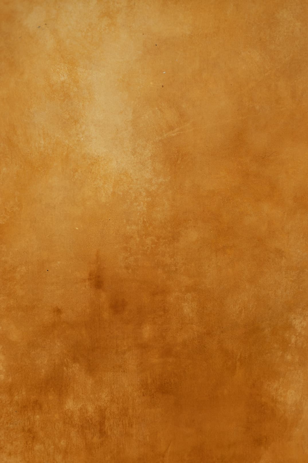Ruddy Brown Digital Backdrop (DB#10118)