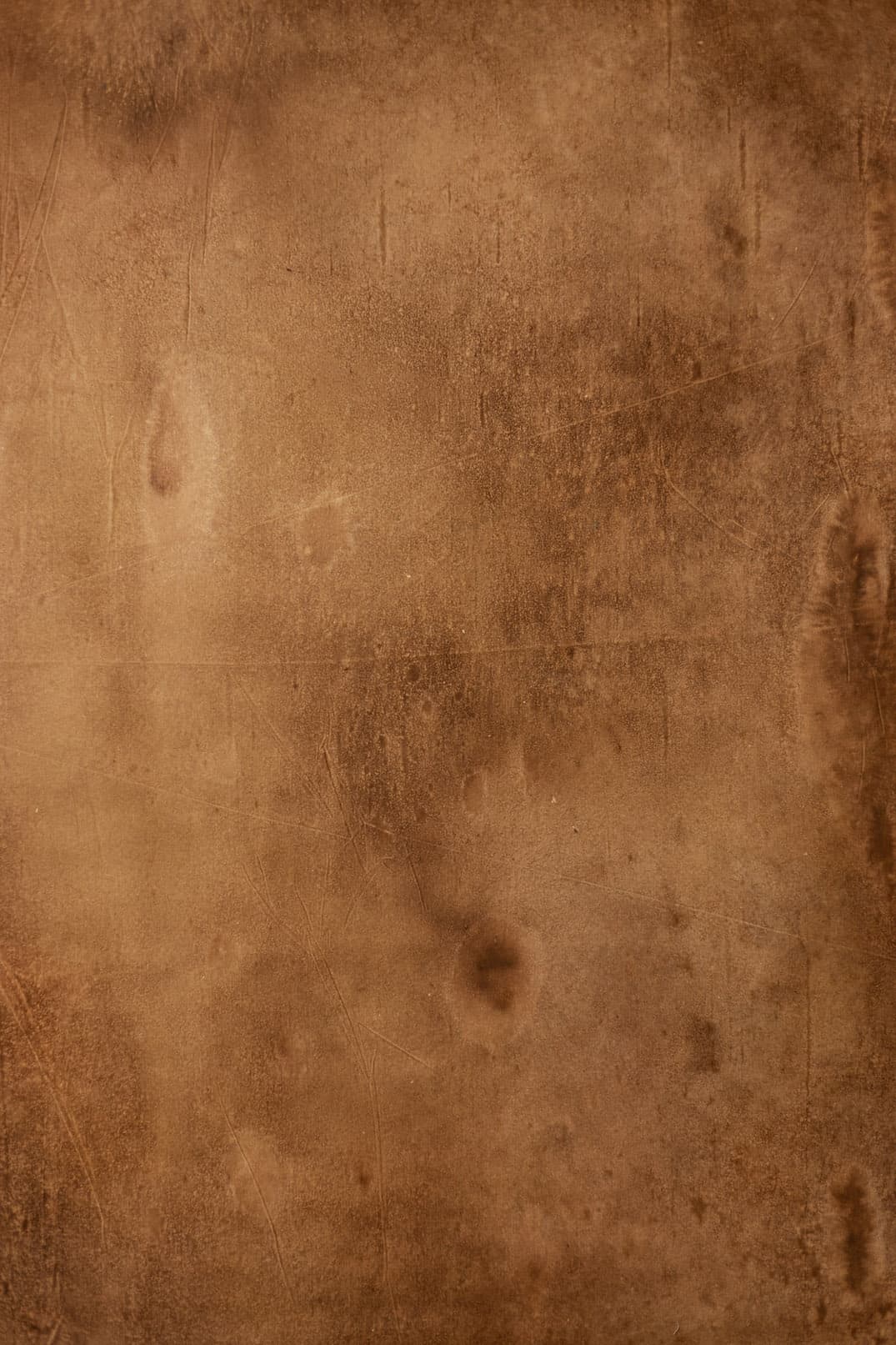 Mule Fawn Digital Backdrop (DB#10111)