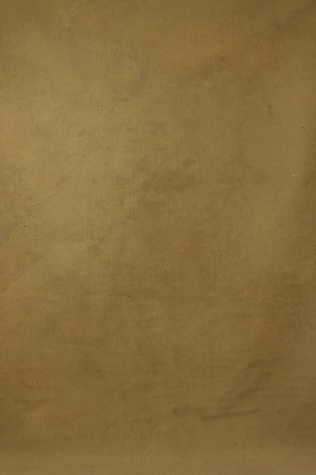 Limed Oak Digital Backdrop (DB#10103)