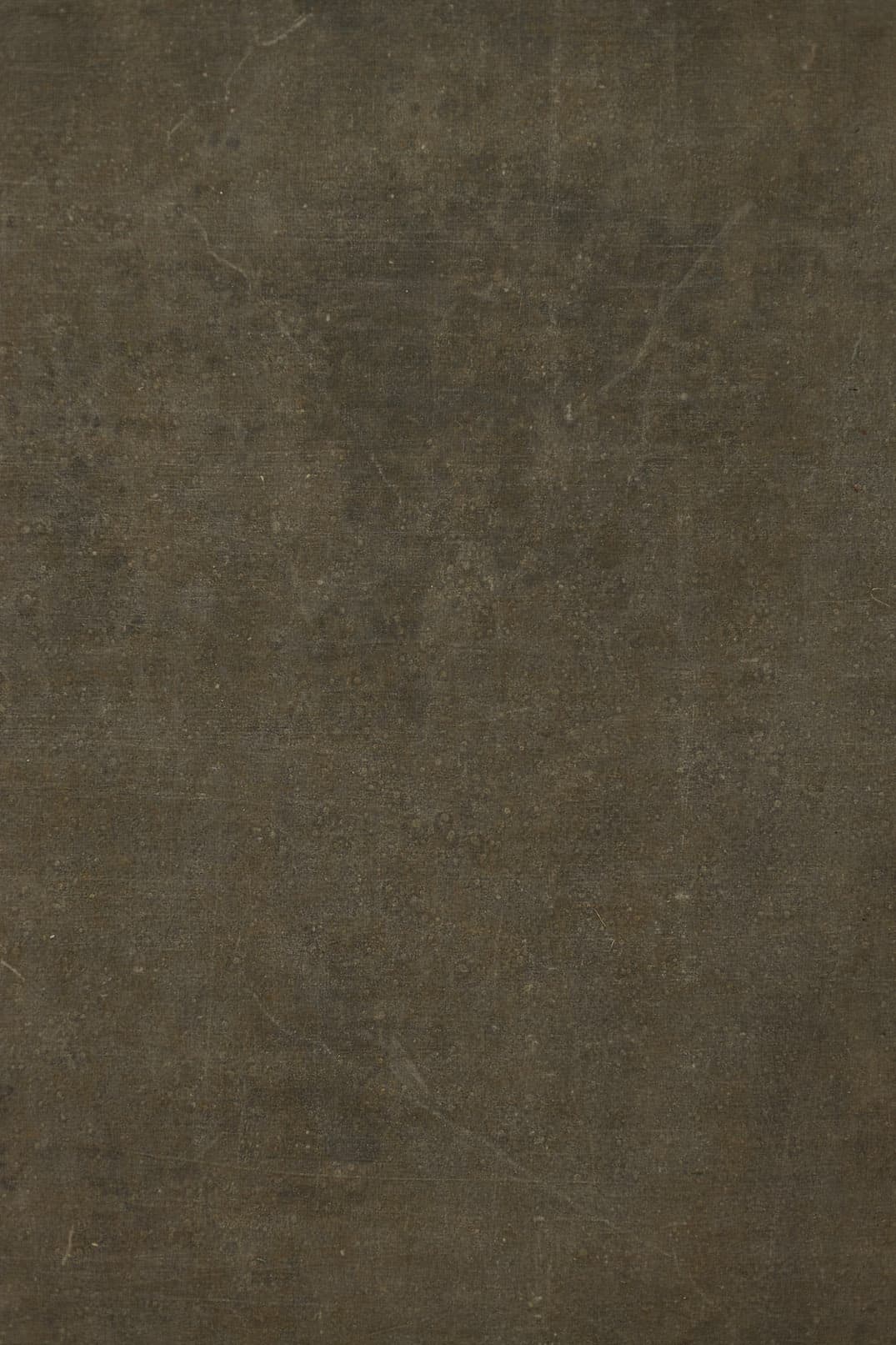 Hemlock Digital Backdrop (DB#10120)