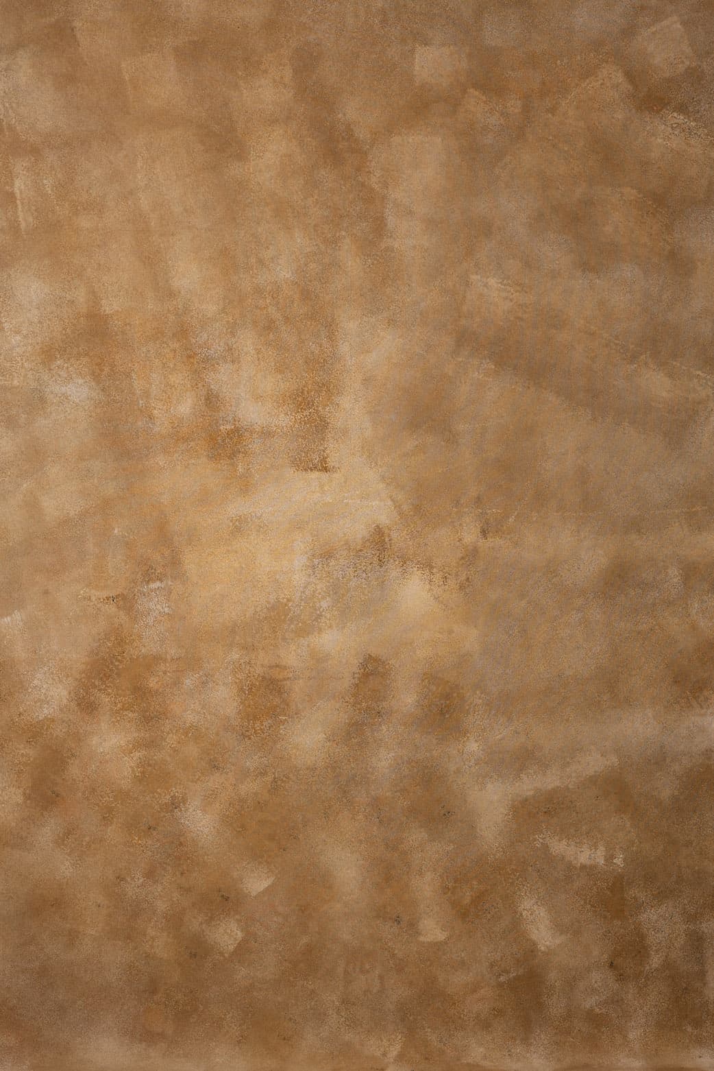 Driftwood Digital Backdrop (DB#10140)