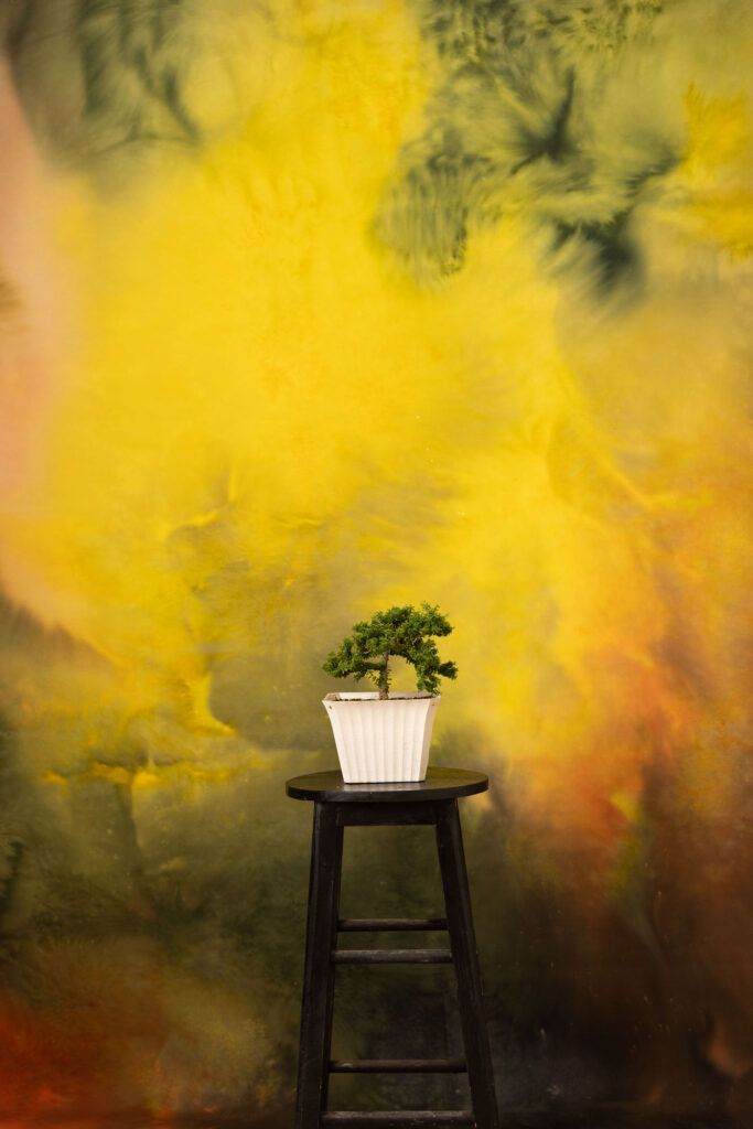 Alpine Painted Canvas Backdrop (RN#254) - Zen Backdrops